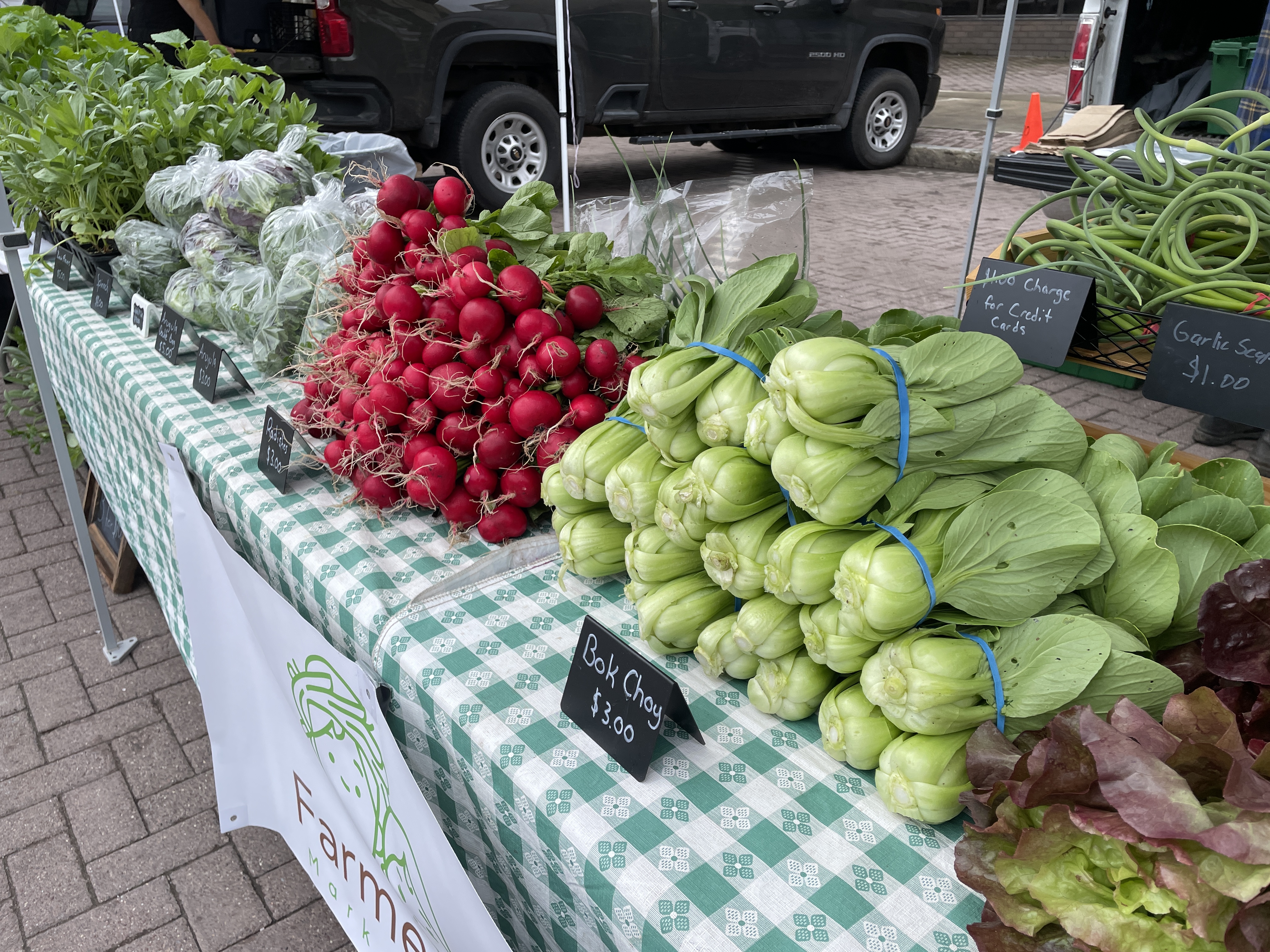 New vendors at the Downtown Syracuse Farmers Market - Vimarsana News