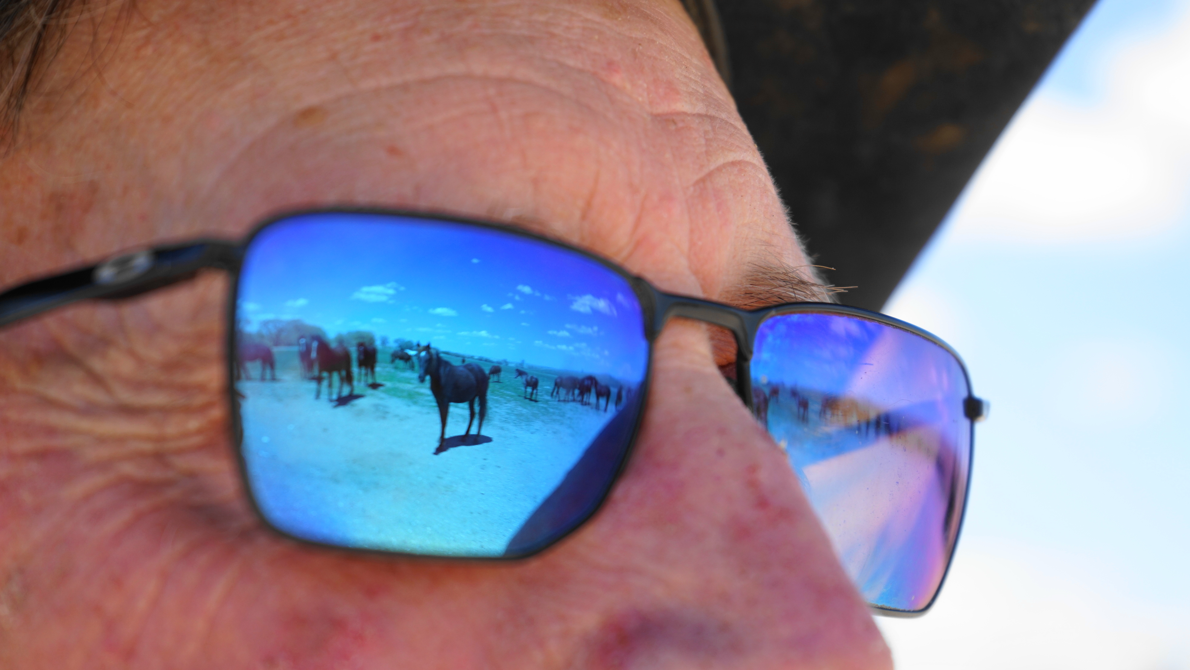 Photo Essay: Gentling mustangs is a family affair for the Mantles - Vimarsana News