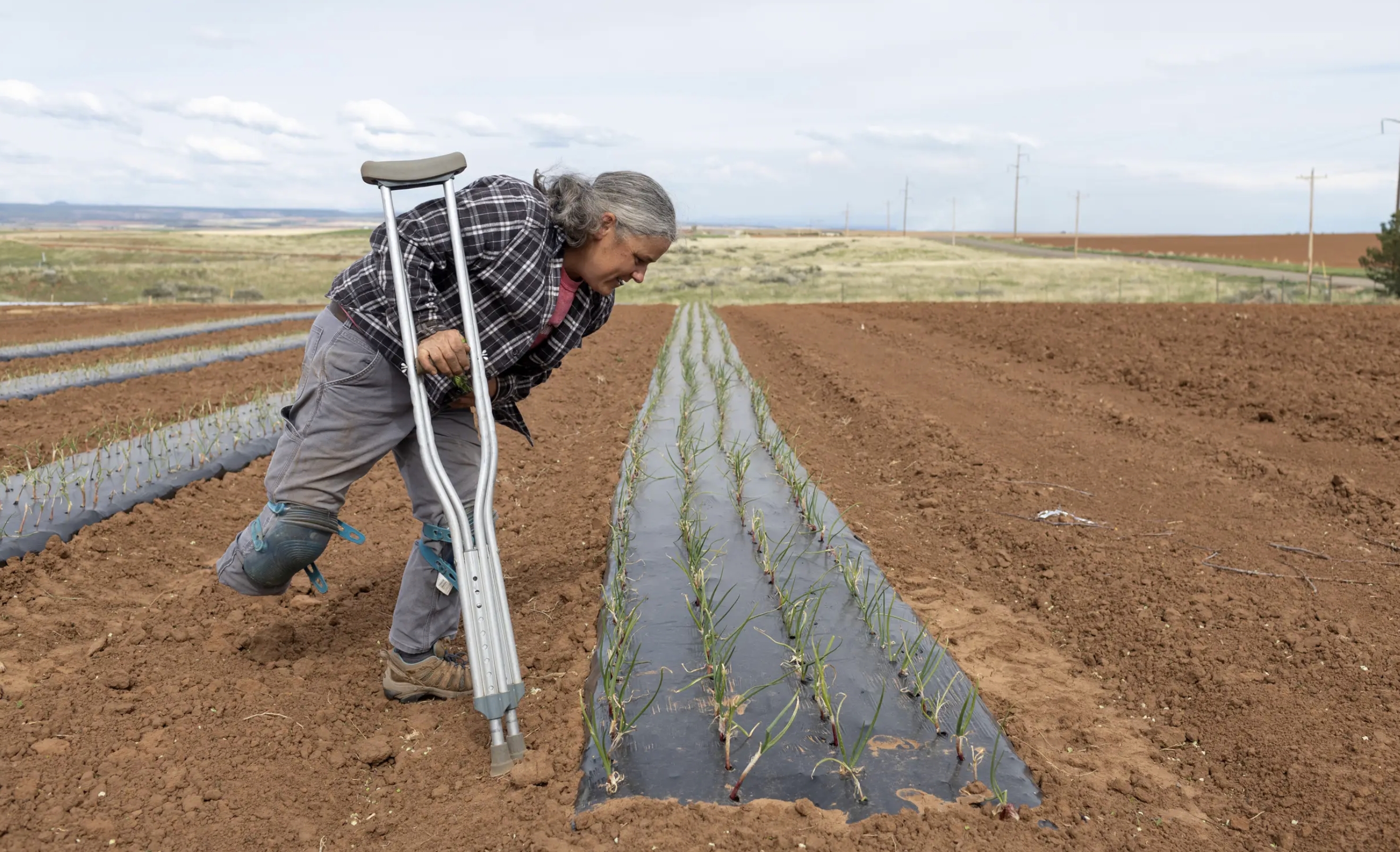 A car crash devastated a southwest Colorado farming family. Amputation turned it around - Vimarsana News