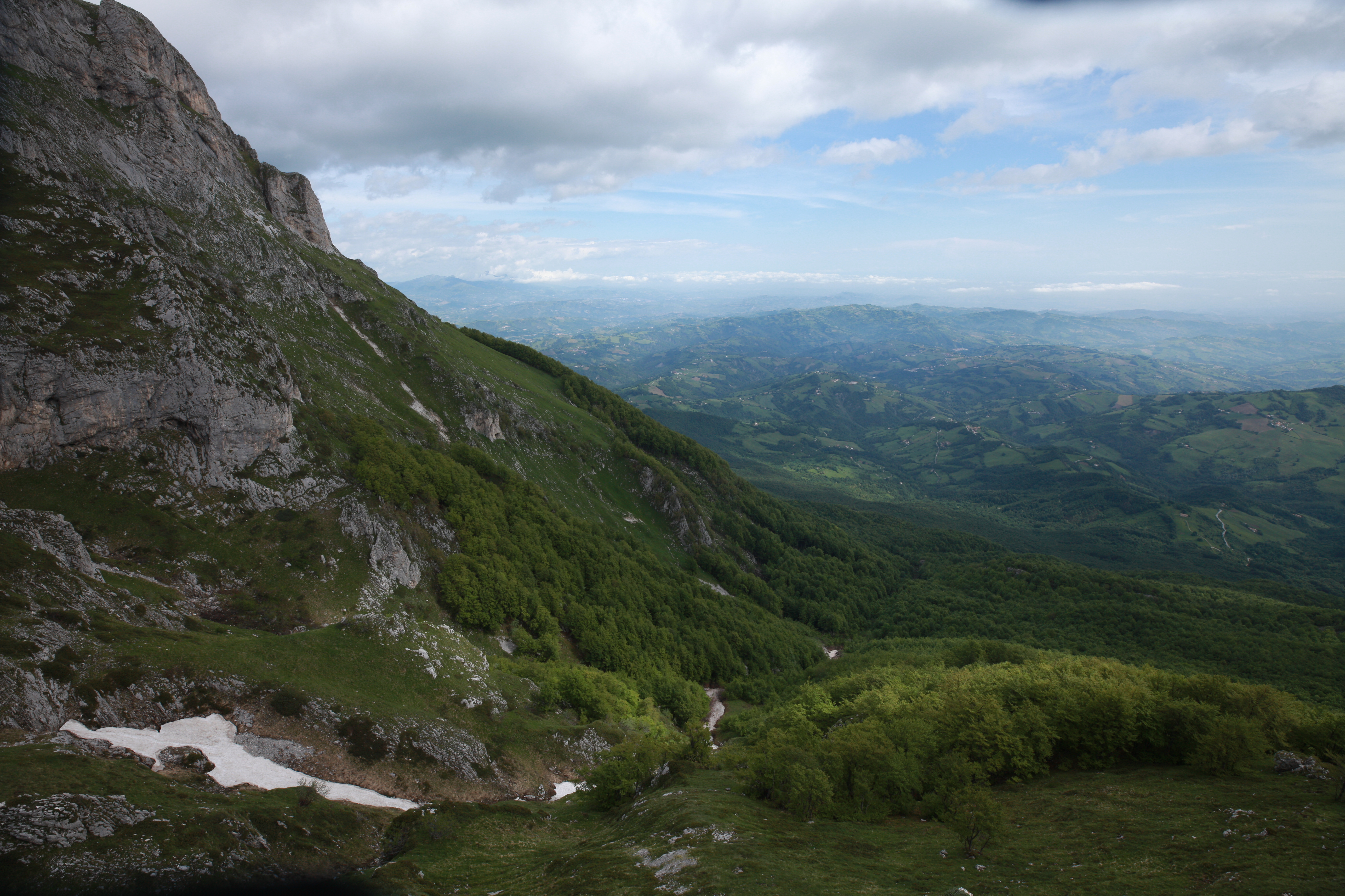 Sun, July 24 at 10am - Europe's New Wild - Vimarsana News