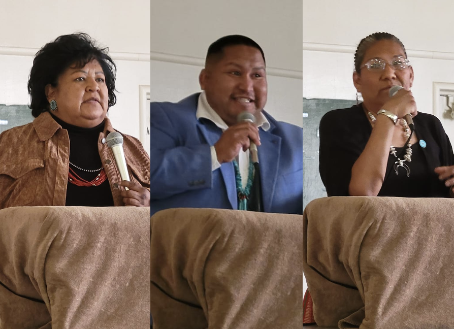 Community organizer faces off with two local school board members for House District 4 seat - Vimarsana News