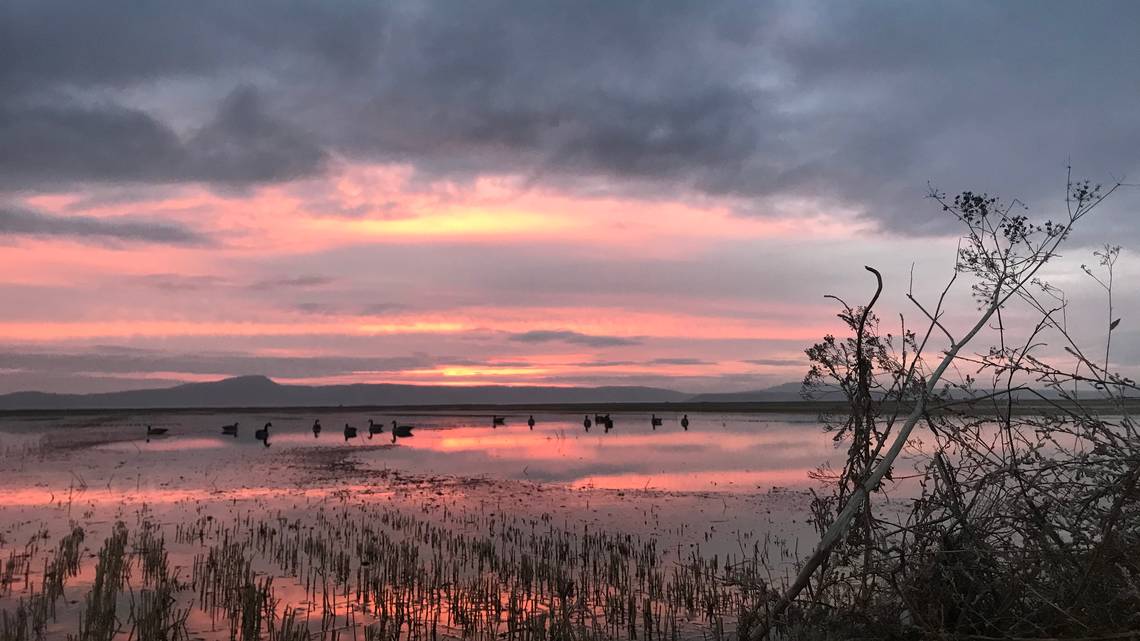 California's Ecological Crisis And Our Relationship With Its Wild Places - Vimarsana News