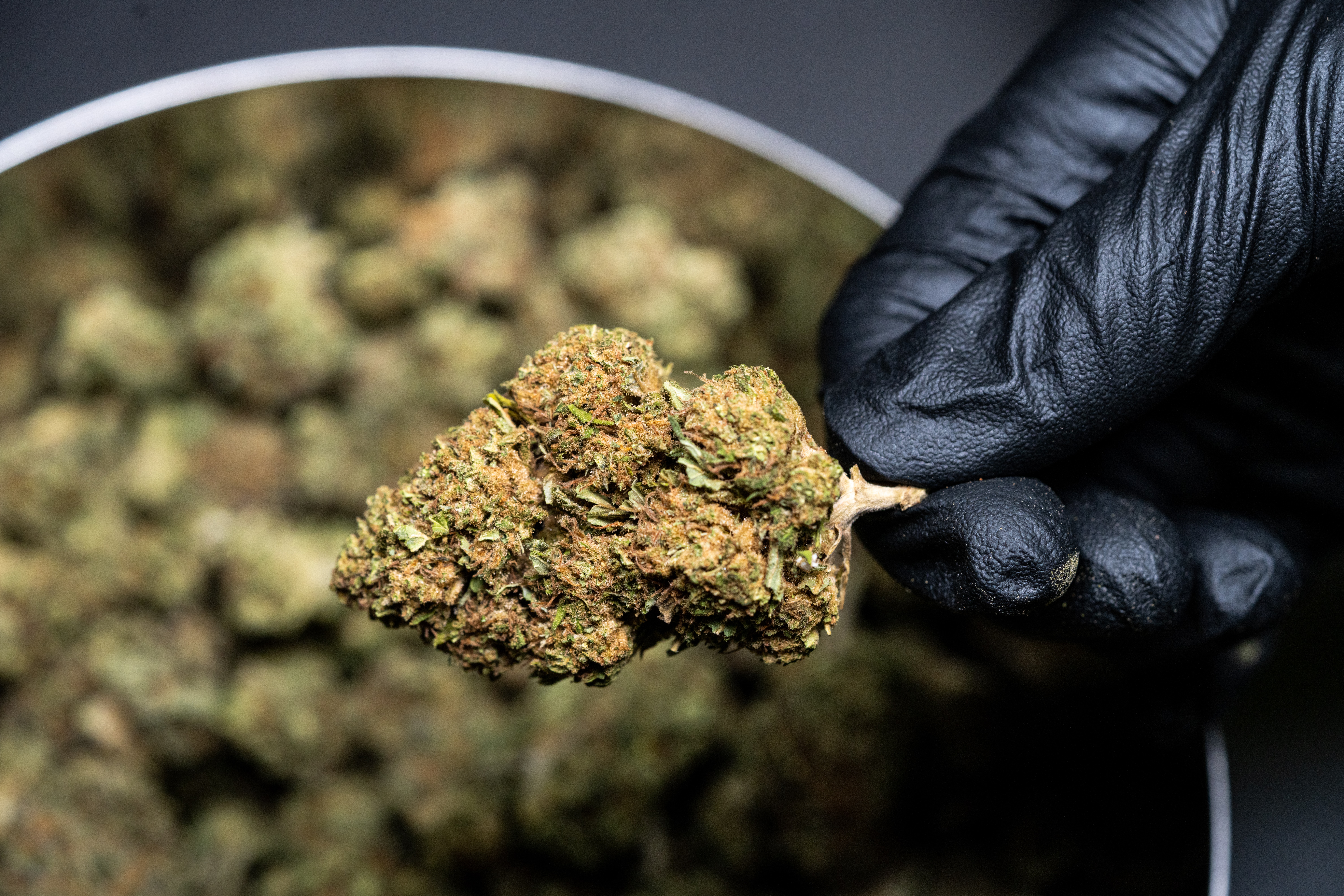 Medical Marijuana Clears 1st Hurdle in NC Senate - Vimarsana News