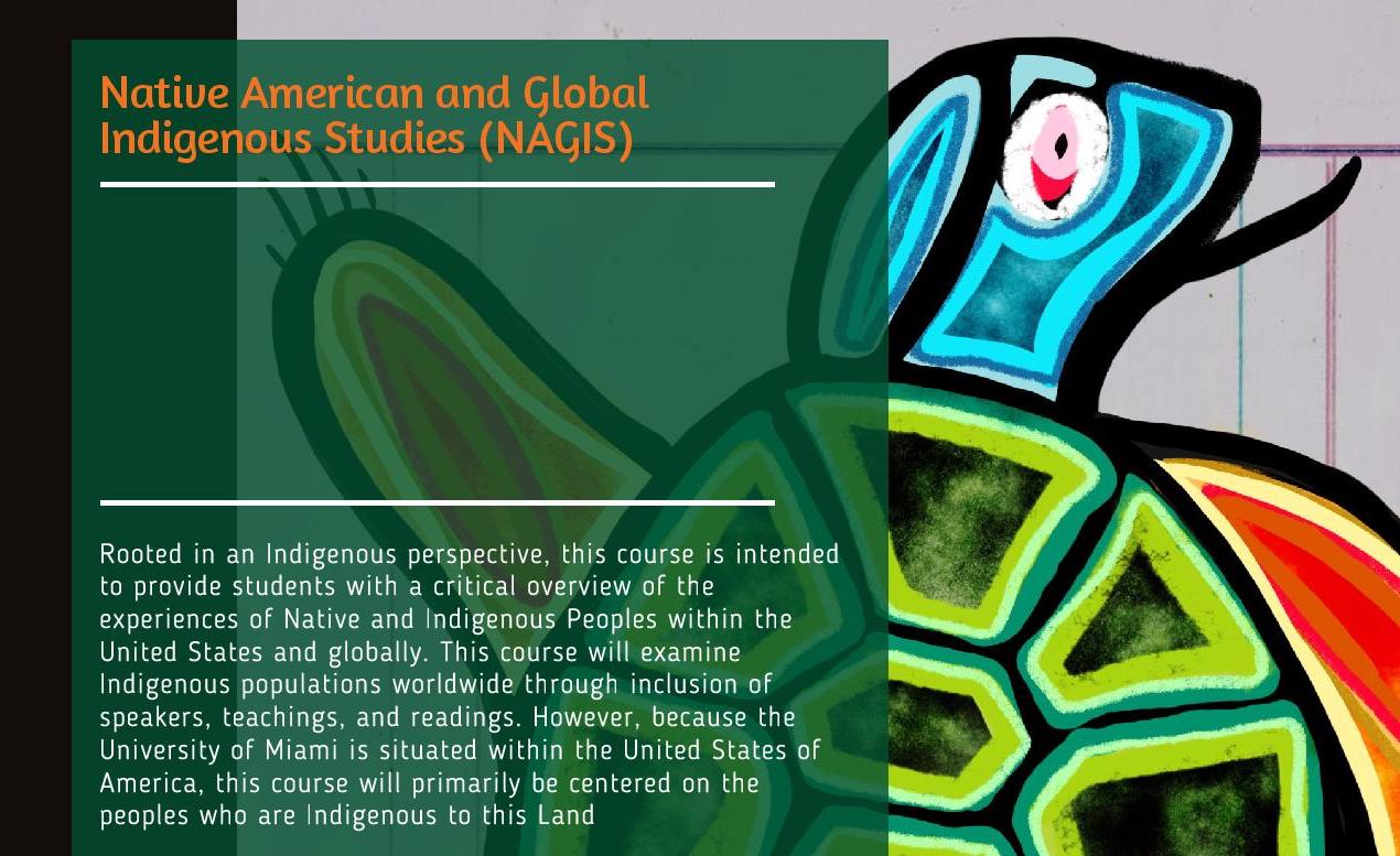 Reckoning Over Racism Prompts University of Miami To Address A Gap: 'We Have No Indigenous Perspectives On Our Campus' - Vimarsana News
