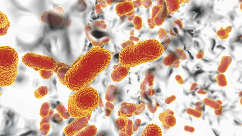 How the COVID pandemic gave power to superbugs : Goats and Soda : NPR - Vimarsana News