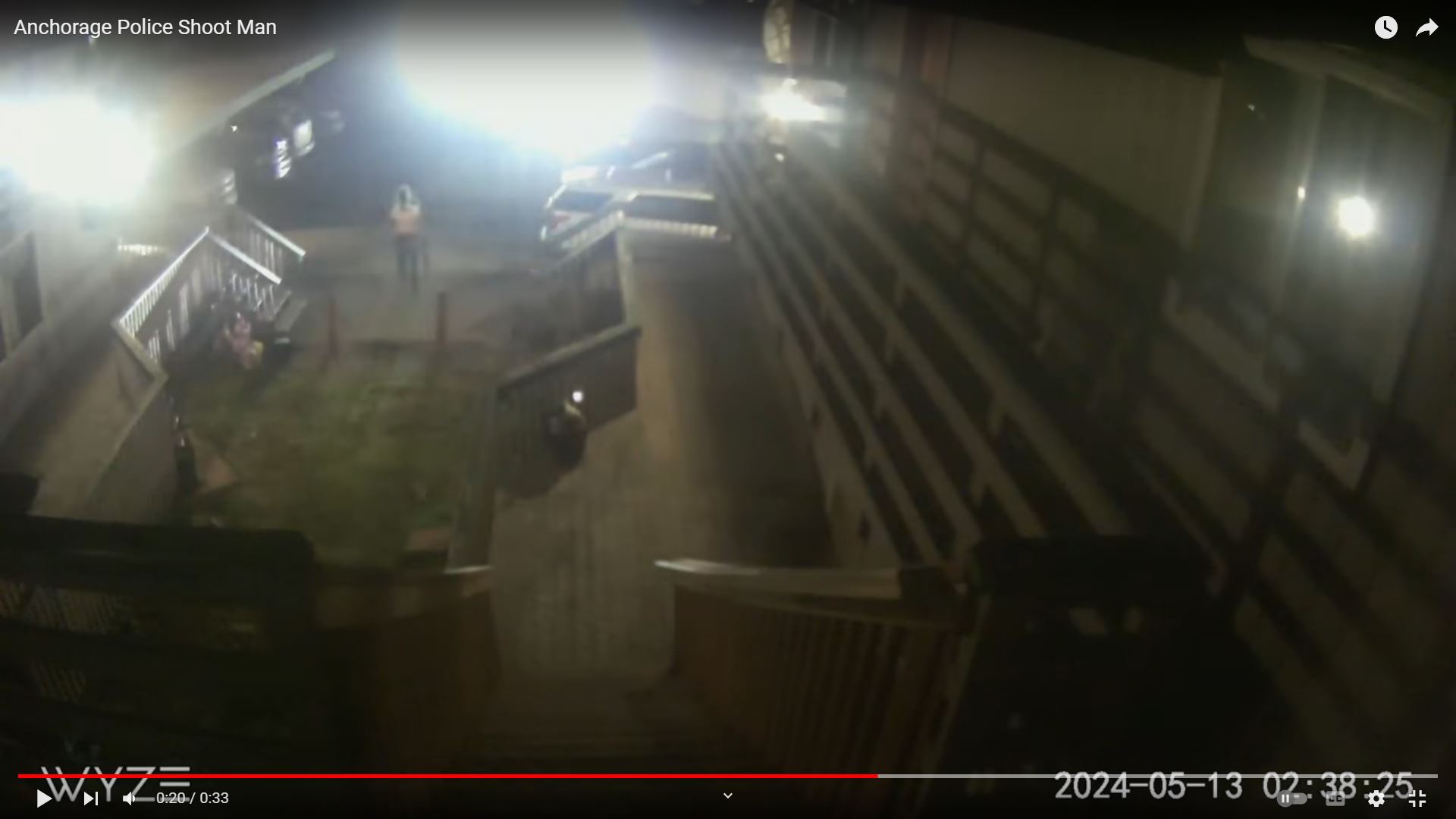 Two men killed while pointing guns at the ground. Should police have waited? - Vimarsana News