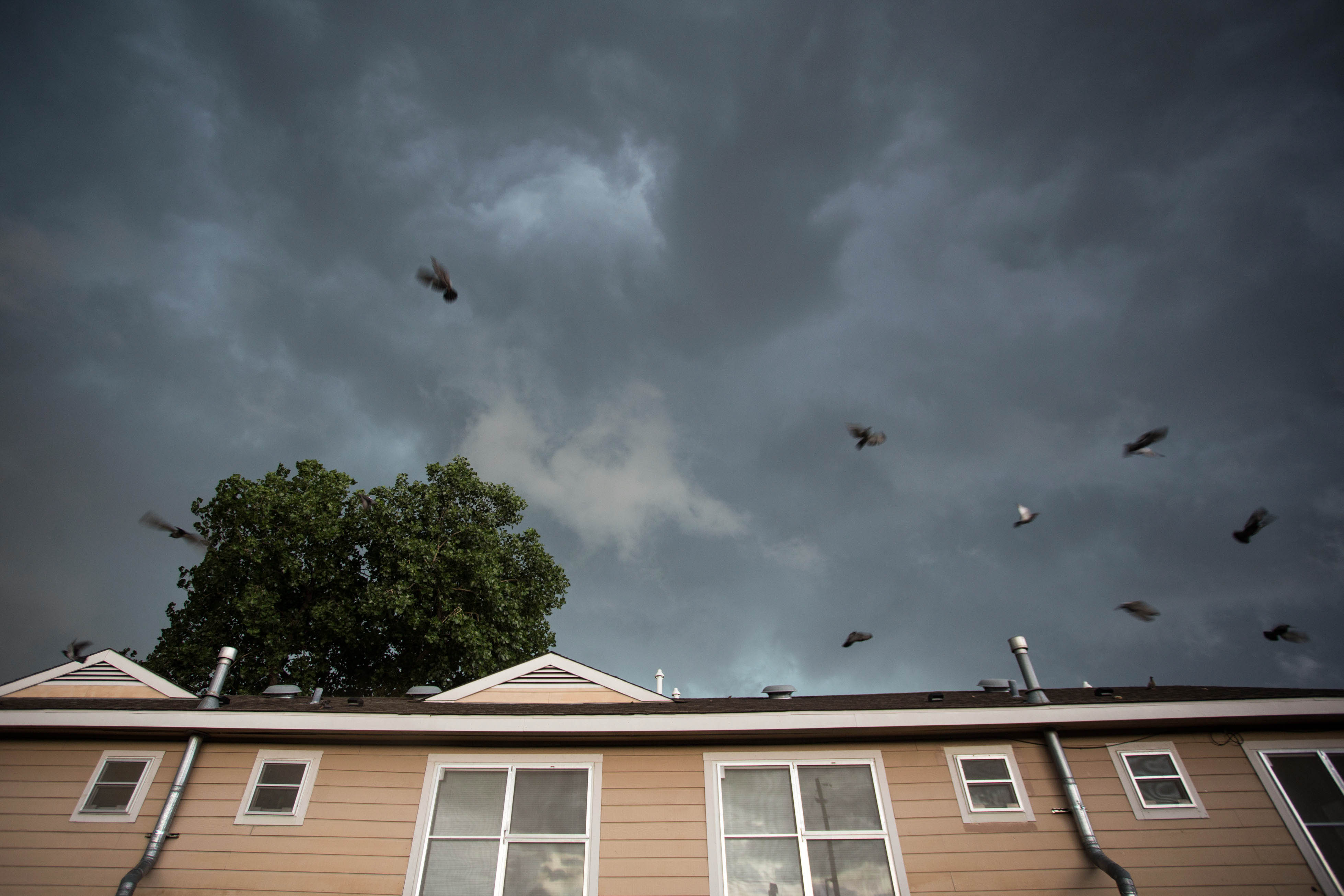 Austin area faces flood watch through Thursday evening article cover image