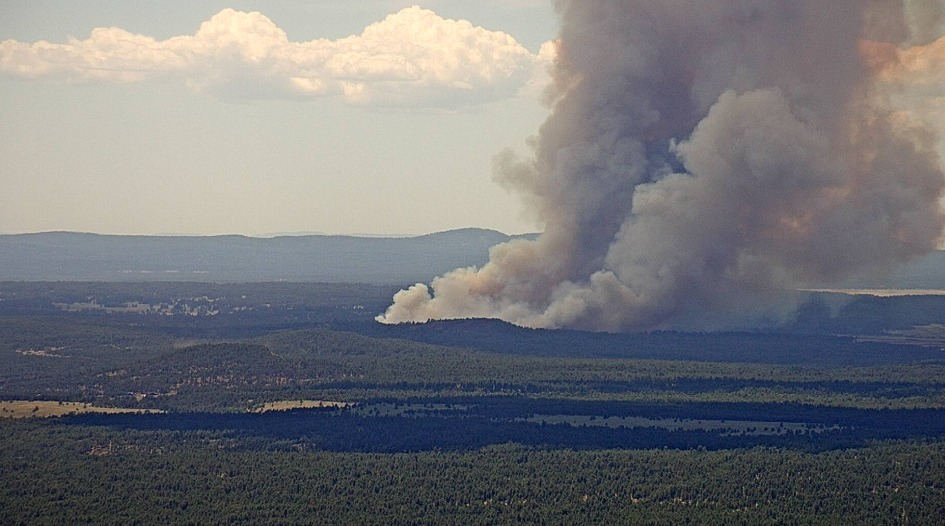 Wildfire on Camp Navajo triggers 'Set' status for nearby areas - Vimarsana News