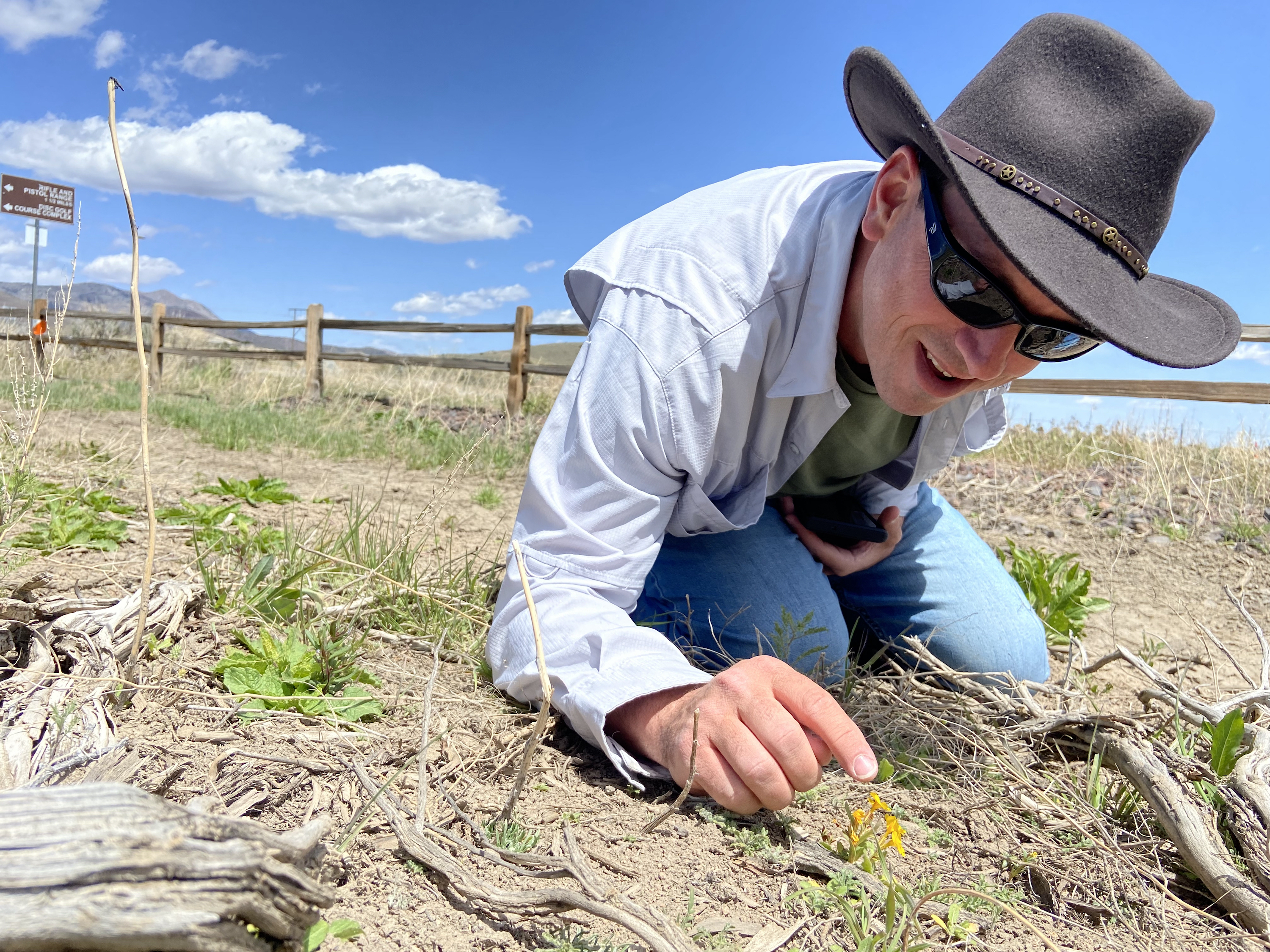 Nevada conservationists work to protect Carson Valley monkeyflower - Vimarsana News