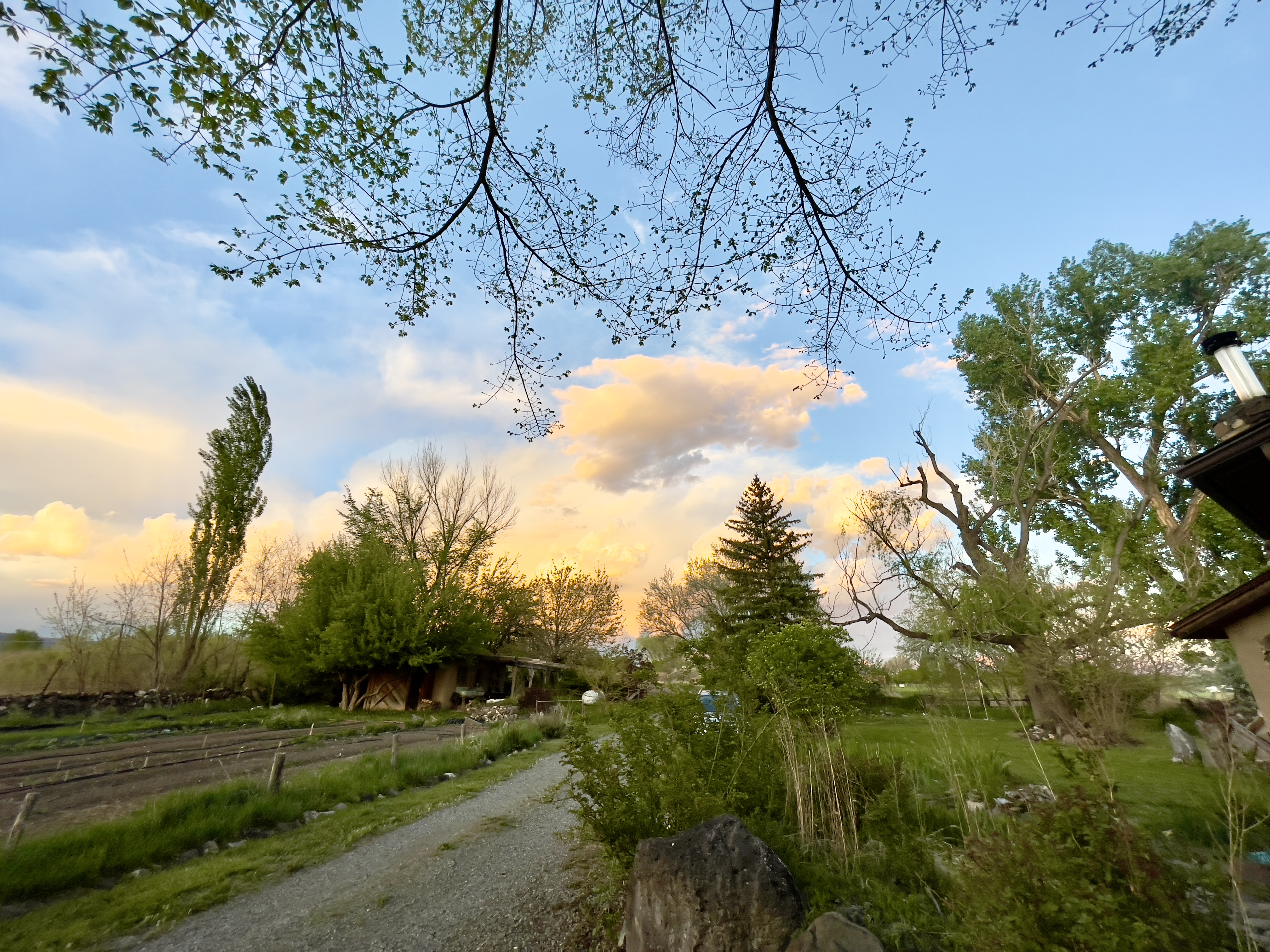 As the Worm Turns - May 22, 2024 - Vimarsana News