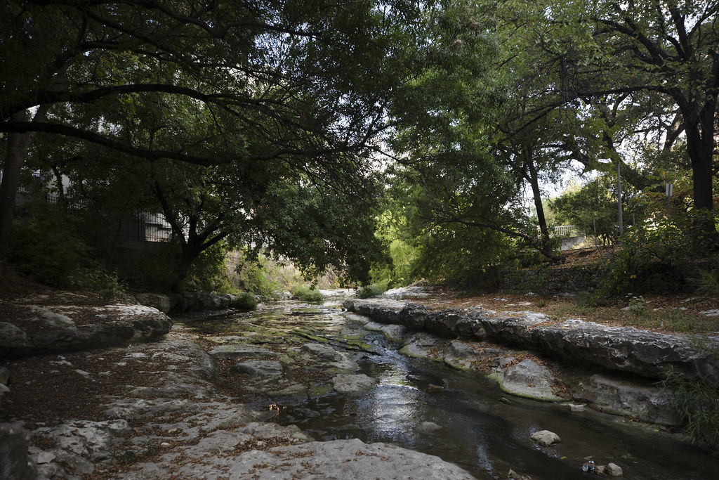 Leaking city pipes appear to be drought-proofing some Austin trees - Vimarsana News