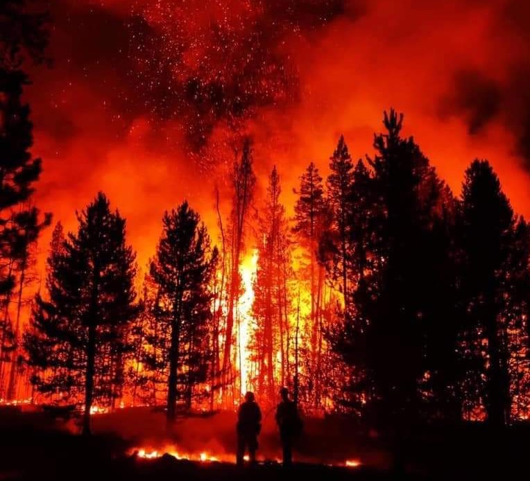 The Bootleg Fire Is Forcing More People From Their Homes - Vimarsana News