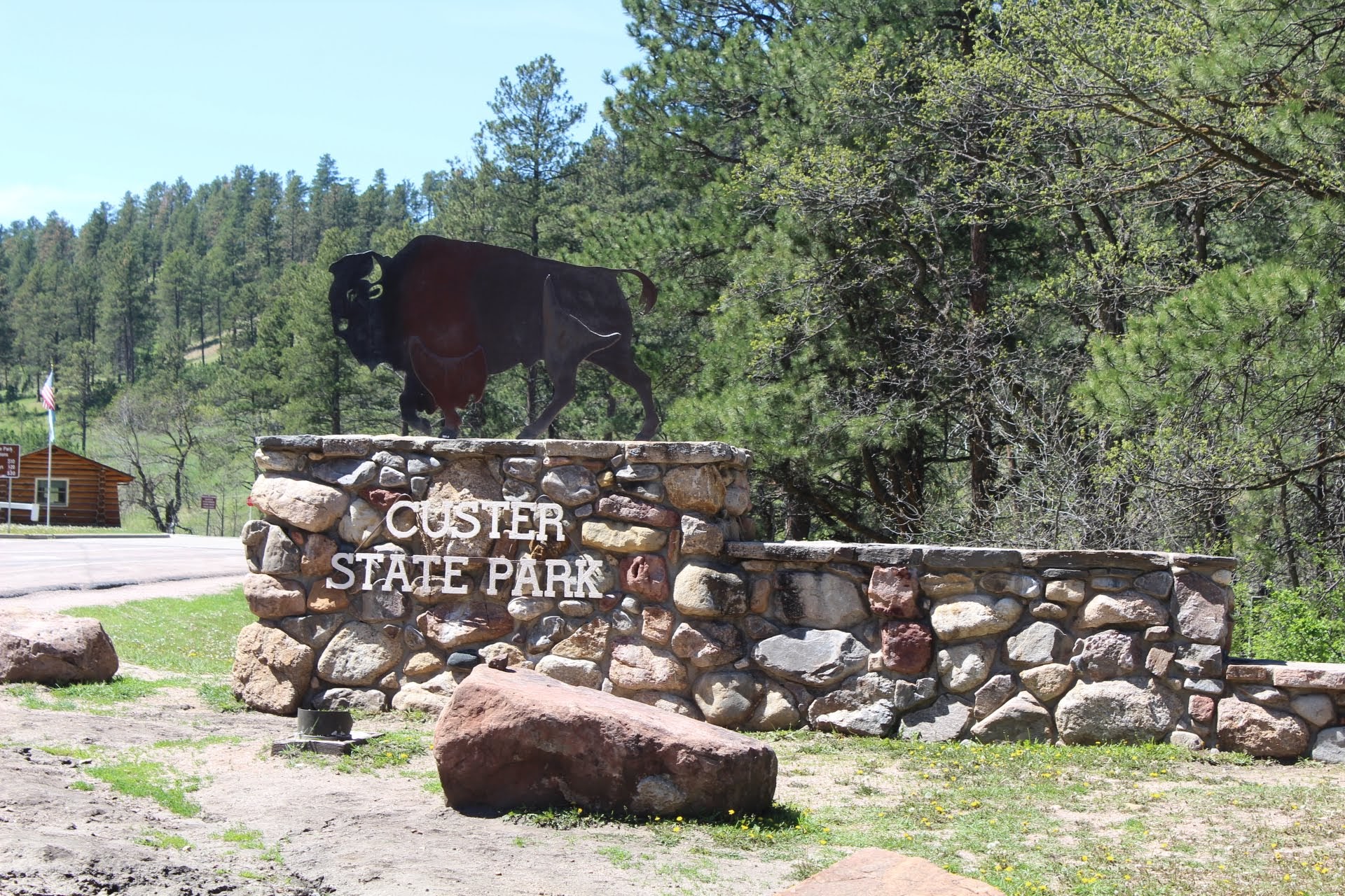 The animals of Custer State Park - Vimarsana News