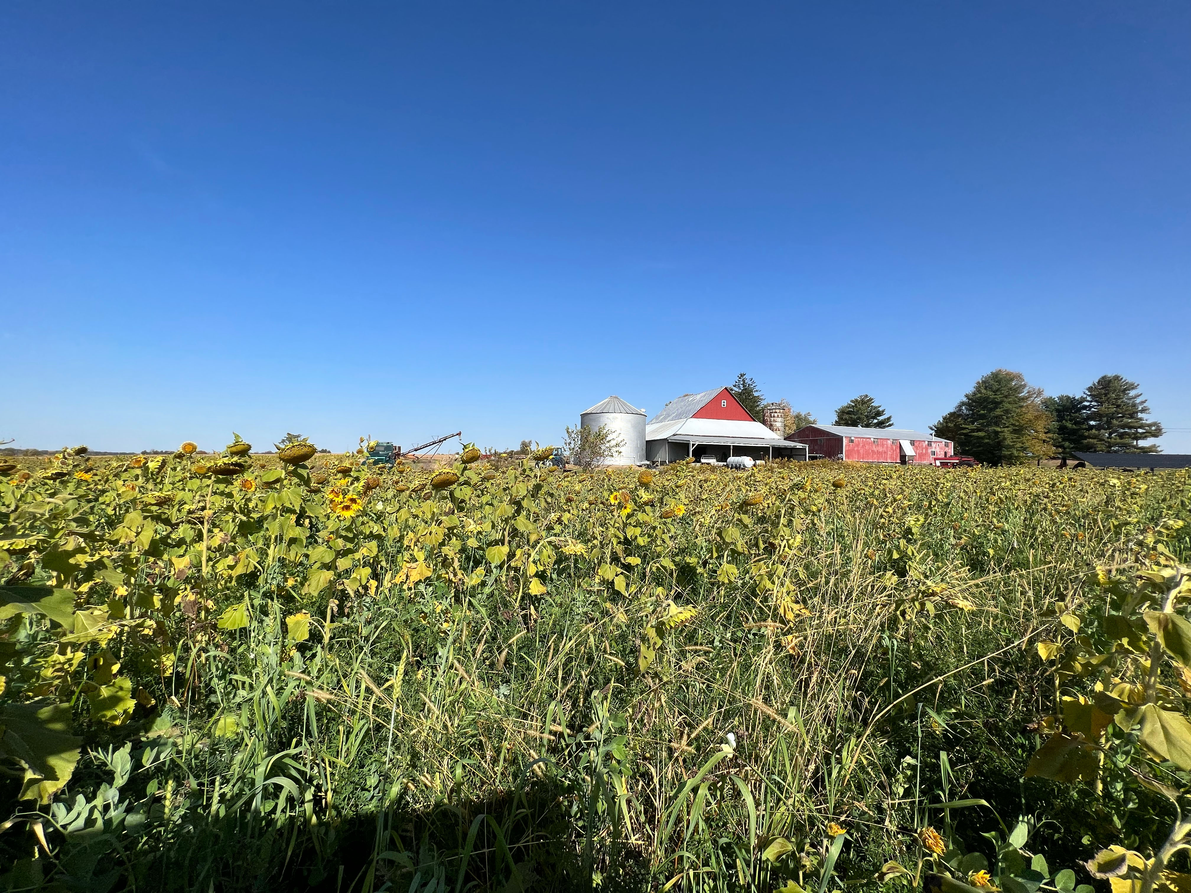BIPOC Farming Network in Ohio gains independence, empowers marginalized farmers - Vimarsana News
