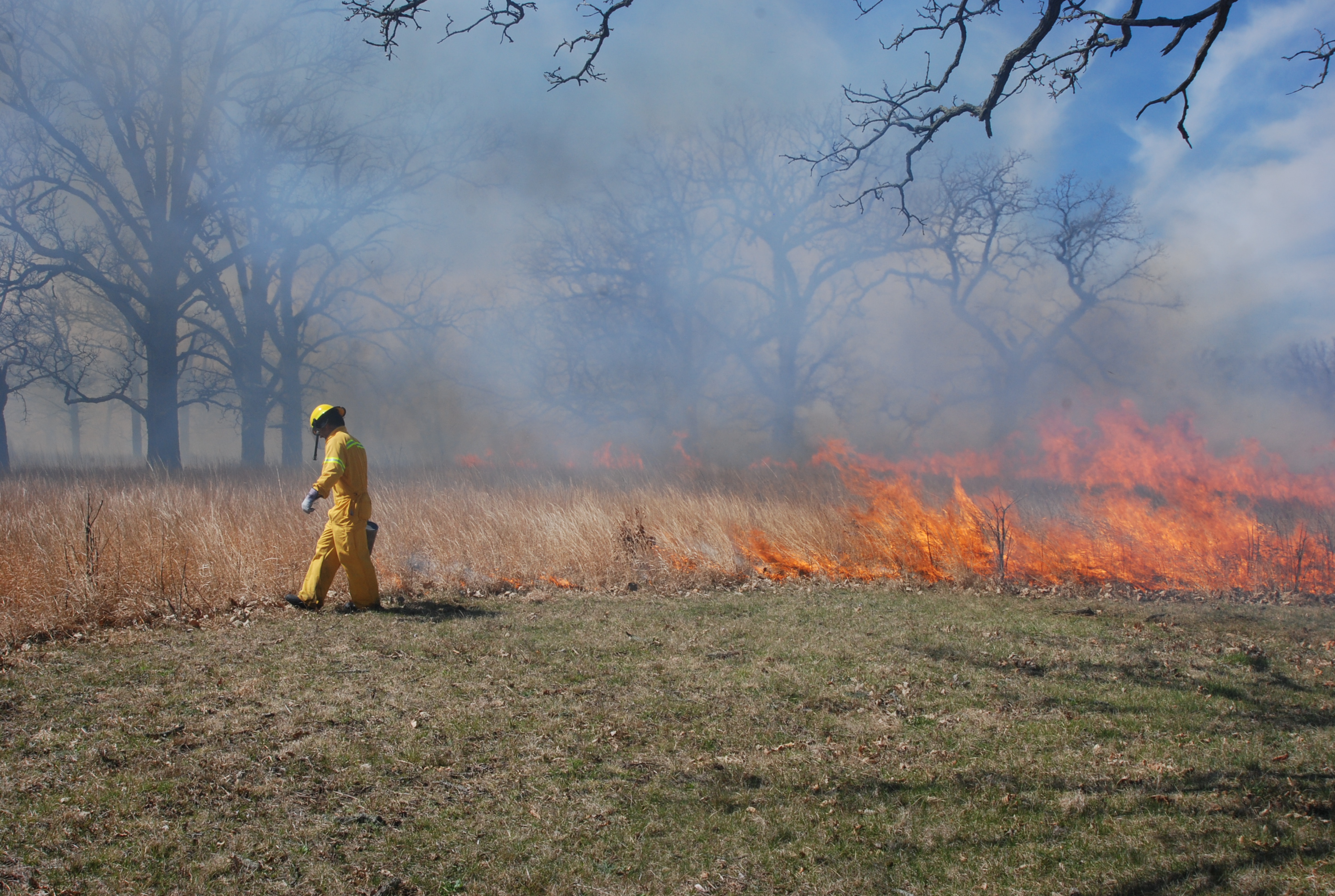 'Fire science' - prescribed burns are being used in Ohio to restore habitat - Vimarsana News