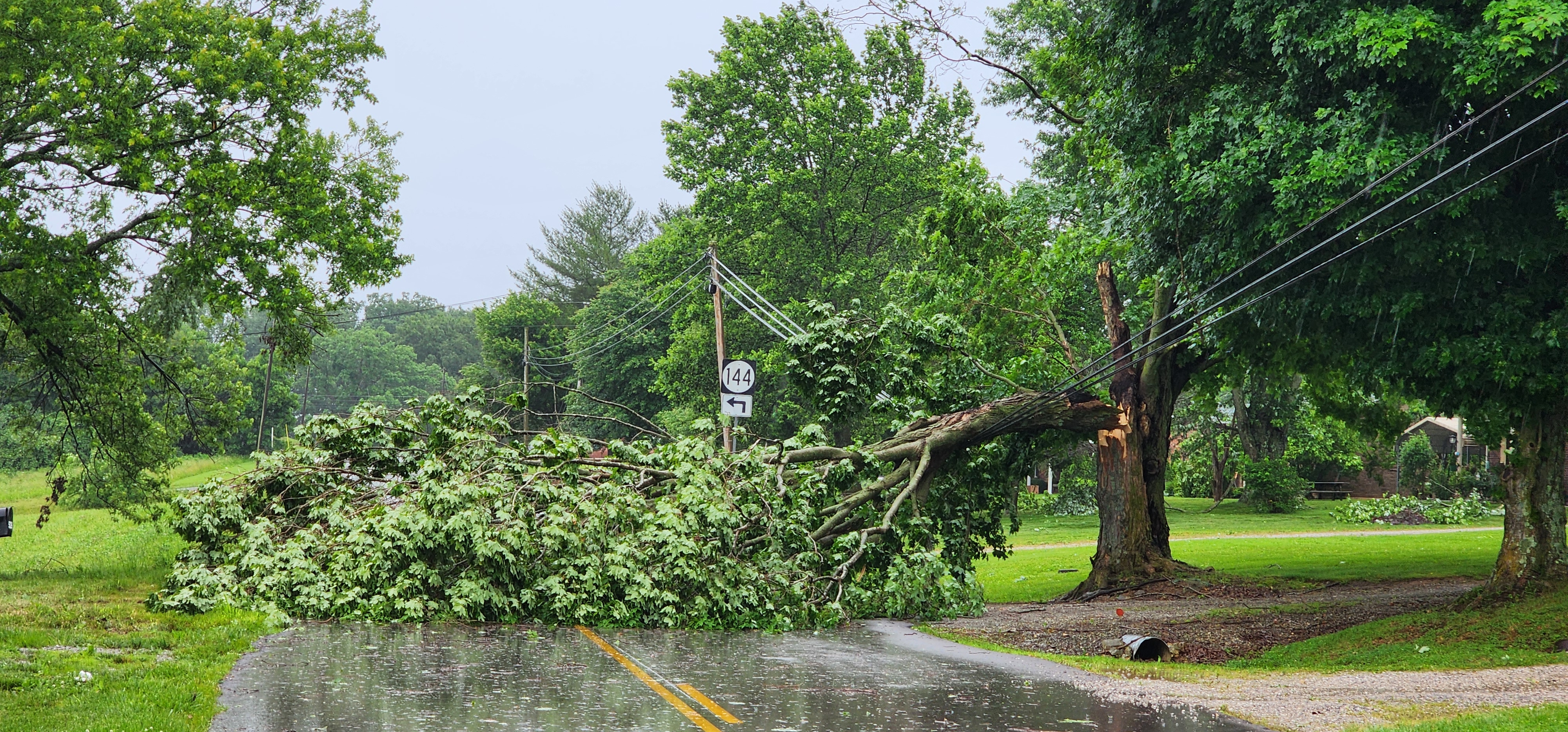 EF-1 tornado confirmed in Butler, Muhlenberg and Warren Counties - Vimarsana News
