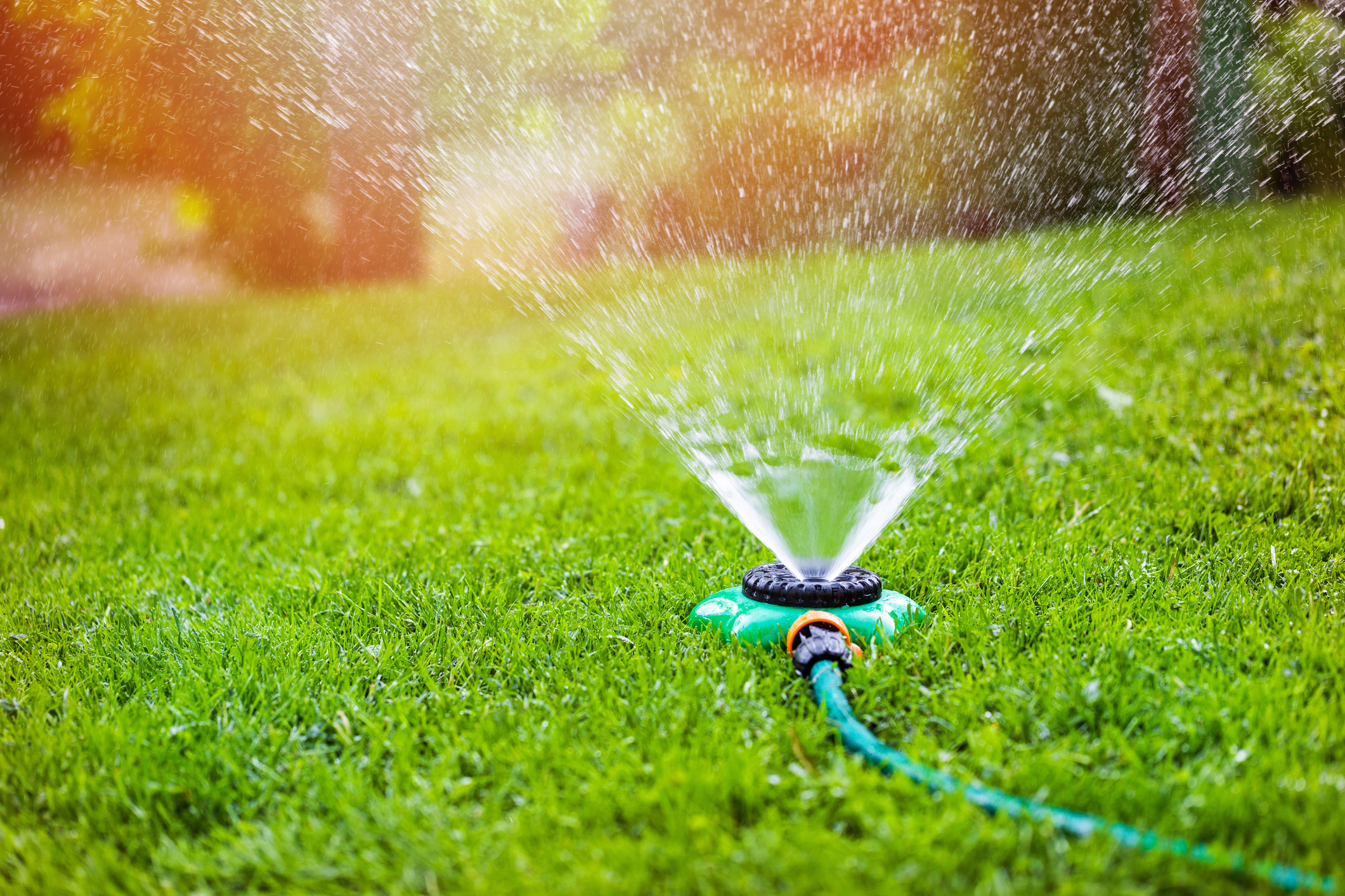 City Of Polson Declares Water Emergency As Montana's Drought Continues - Vimarsana News