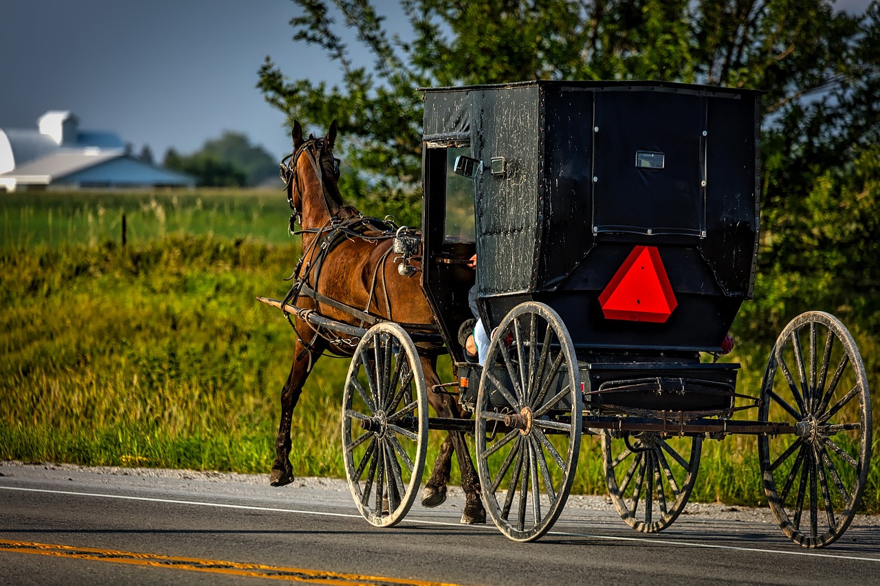 Your new neighbors may drive a buggy — Ohio's Amish population is growing - Vimarsana News