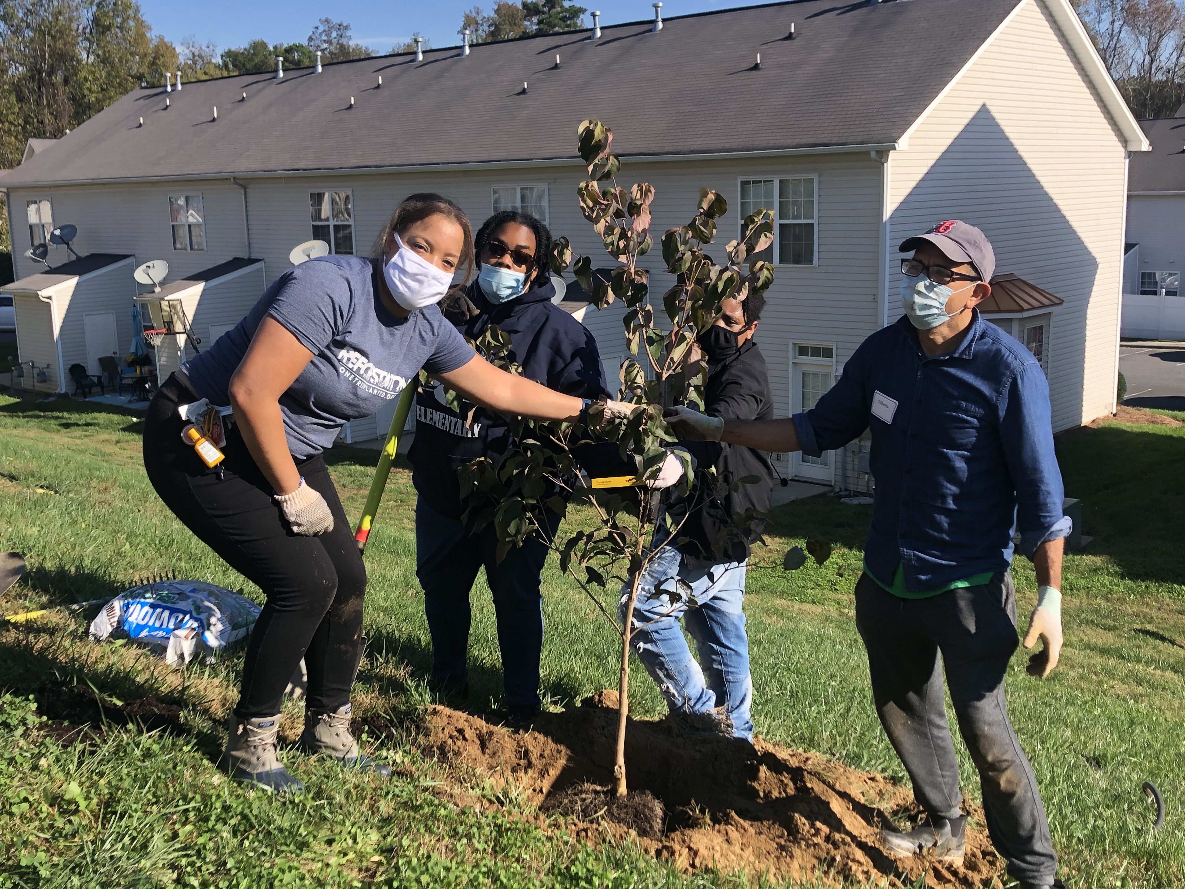 Meet The New Guardians Of Charlotte's Tree Canopy - Vimarsana News