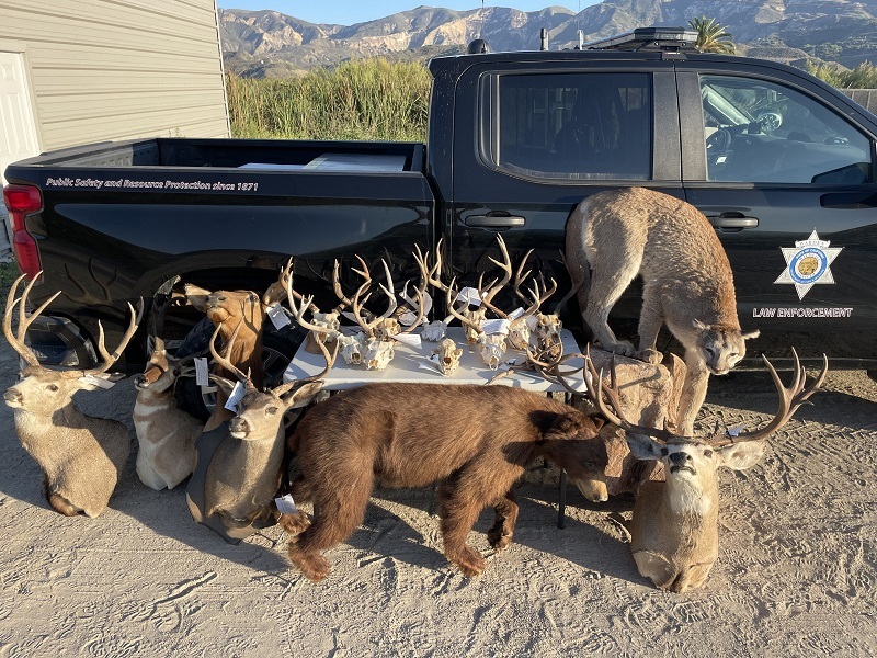Fish and Wildlife officials say they've broken up a poaching ring in the Los Padres National Forest - Vimarsana News