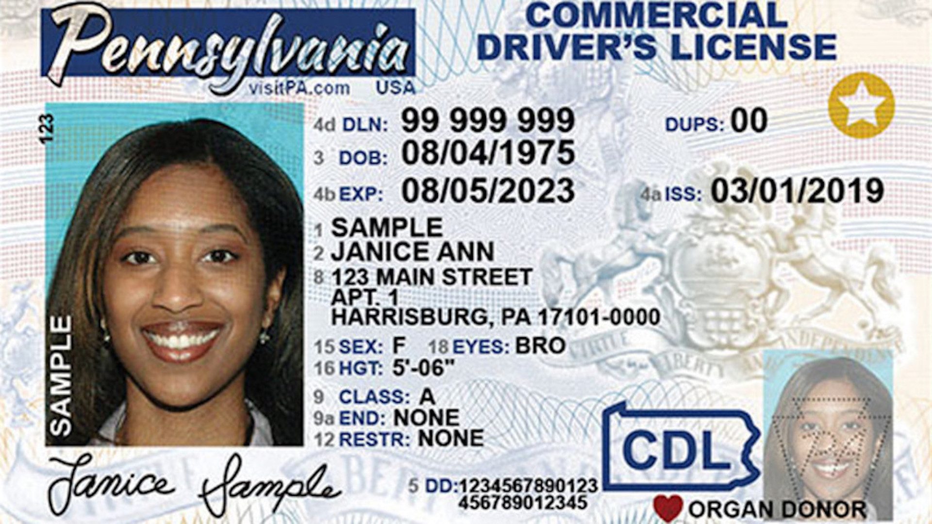 Ditch your ID for digital? Pennsylvania considers digital driver's licenses - Vimarsana News