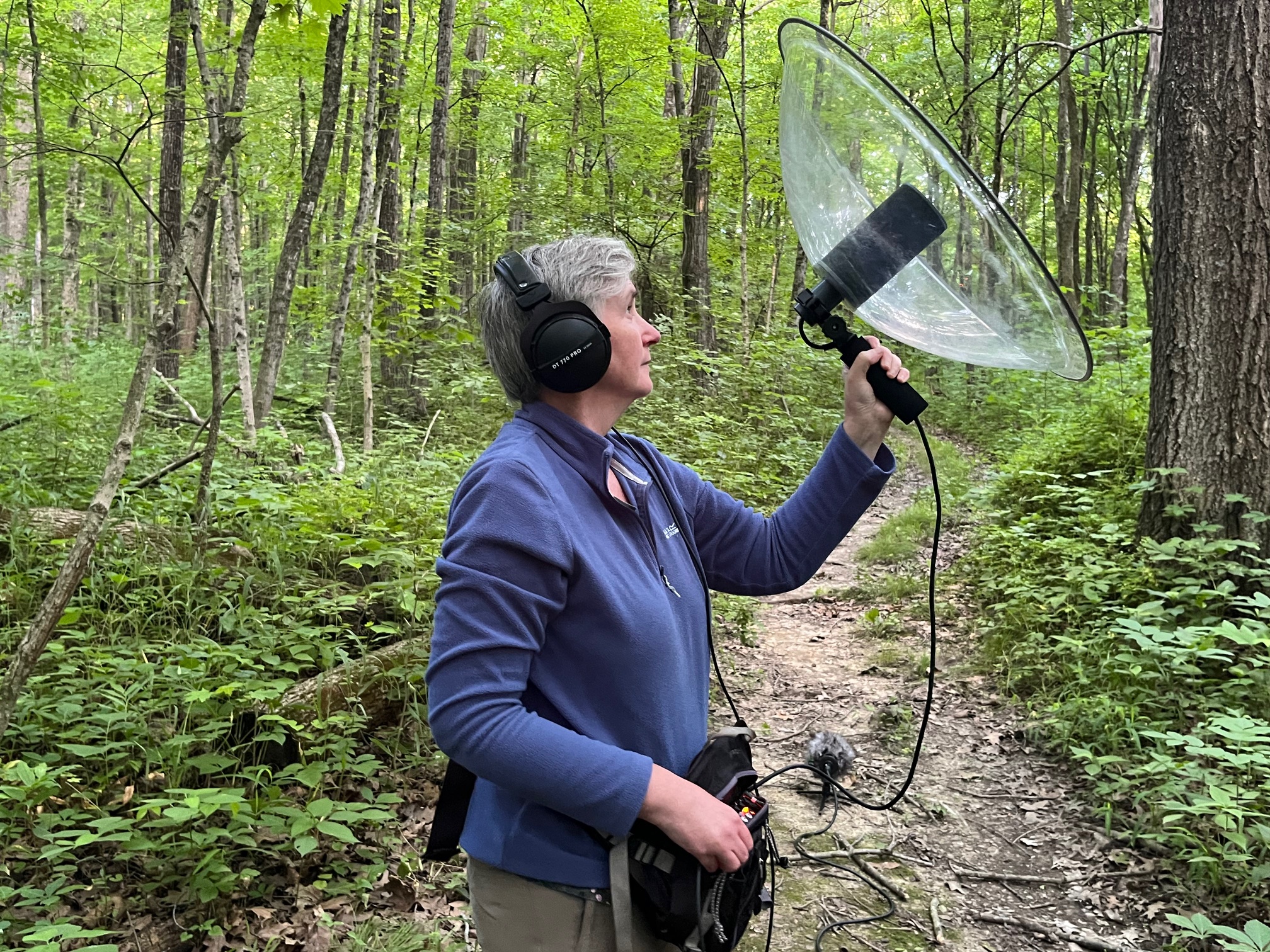 Composer captures the pulsing flow of cicada calls in Central Illinois - Vimarsana News