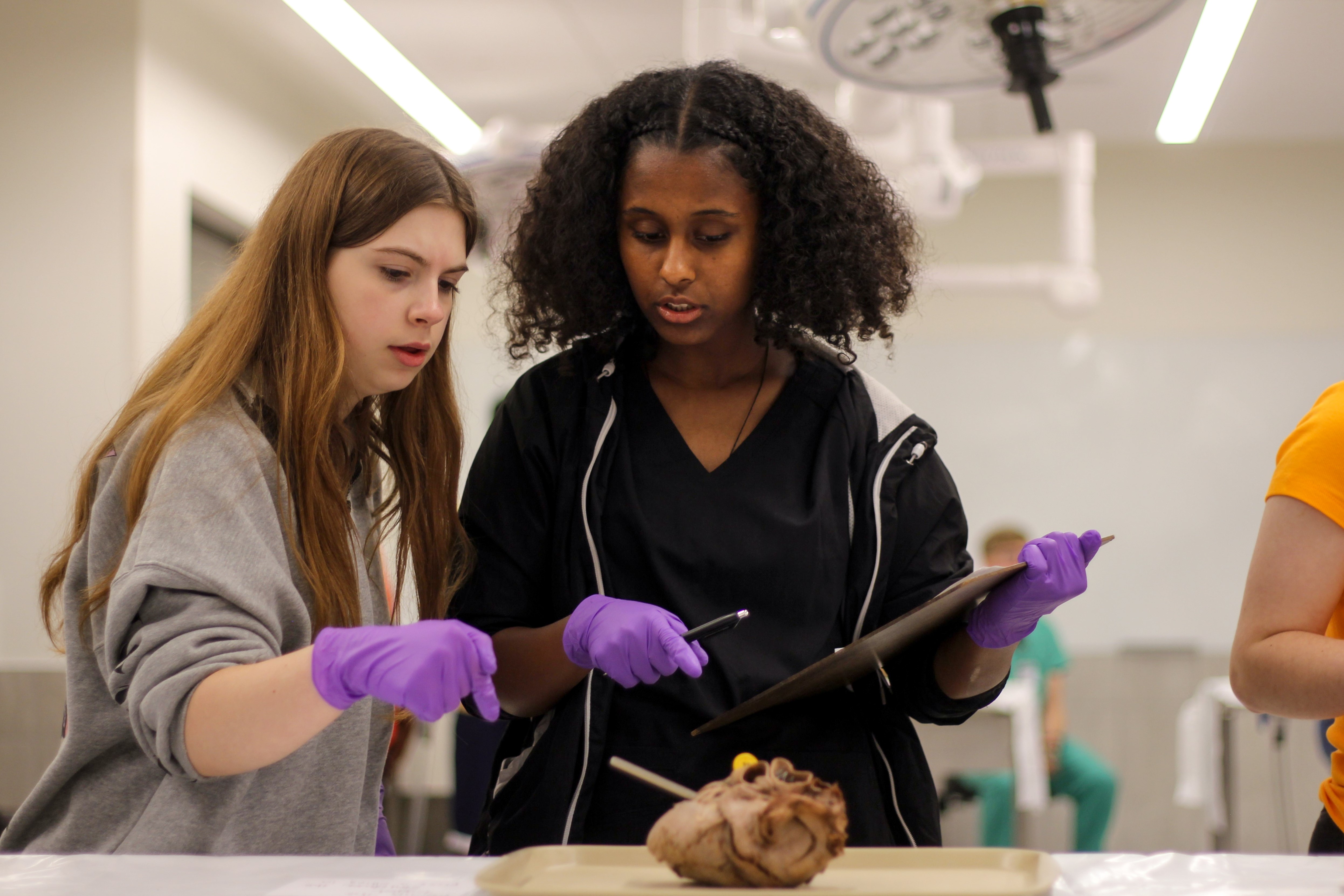 Diverse group of students get a leg up in medicine at Ohio State's MD Camp - Vimarsana News