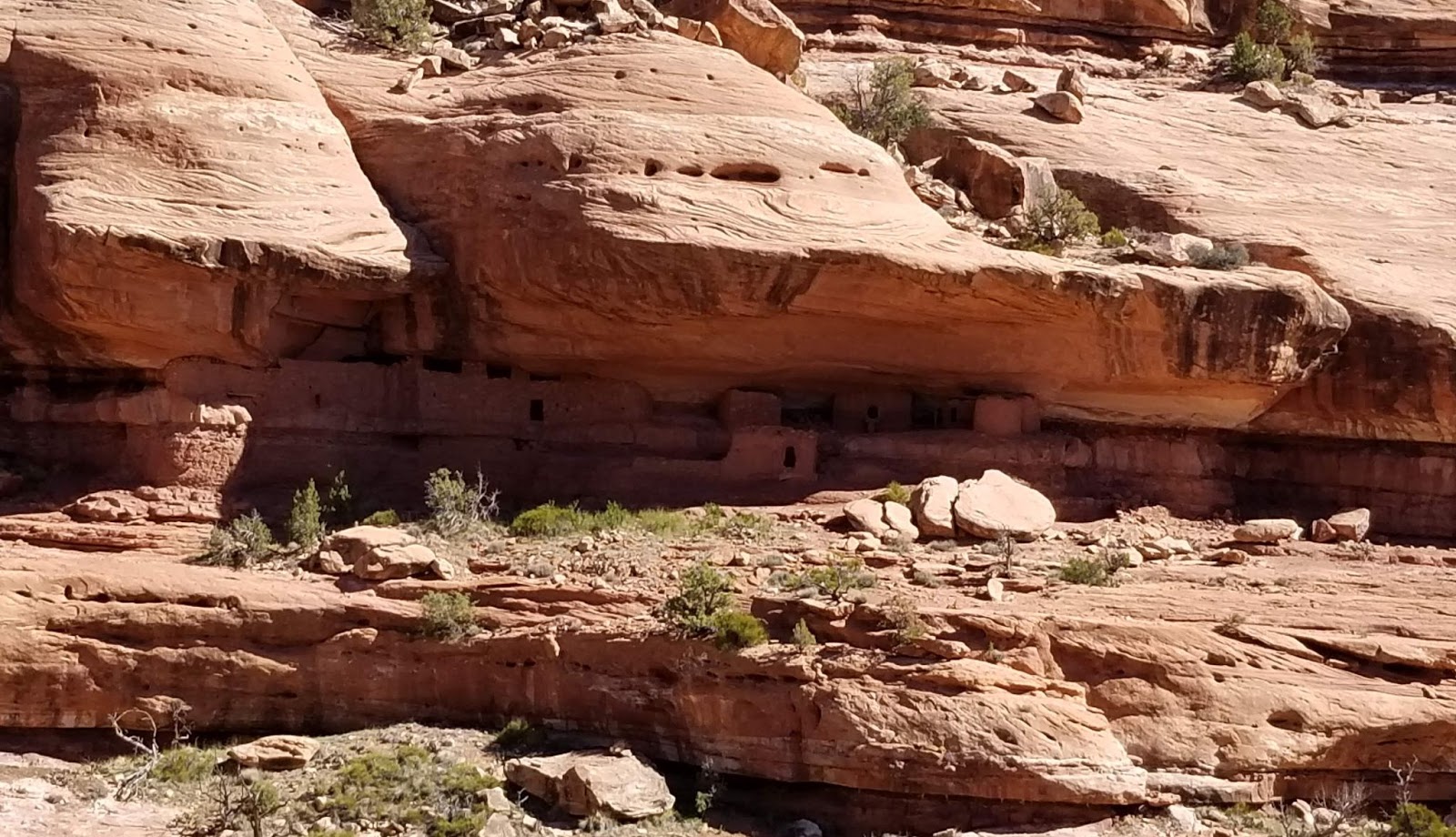 Bears Ears Could See Record Visitation This Year. Advocates Say That Puts Cultural Sites In Danger. - Vimarsana News