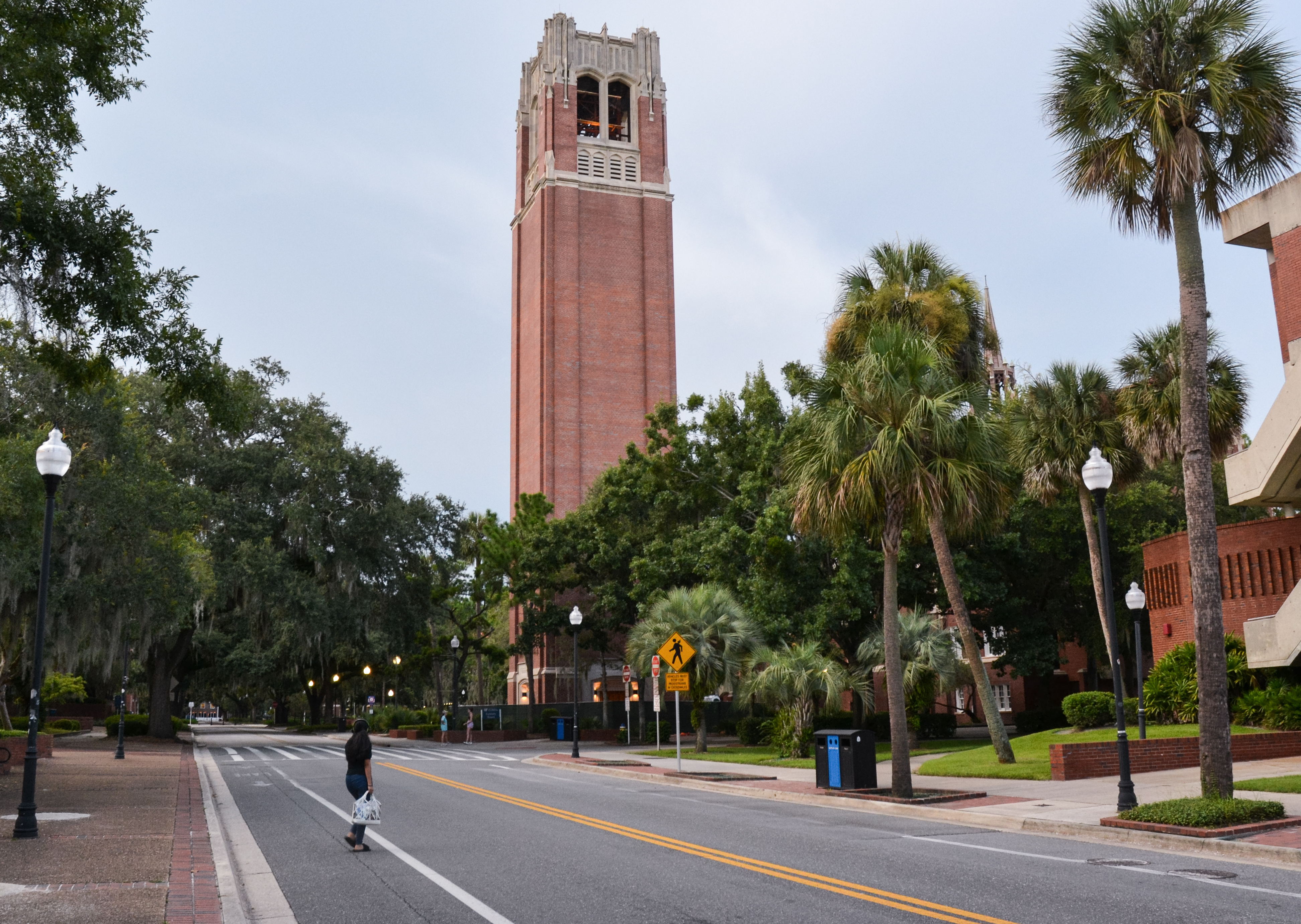 Florida universities are keeping an eye on AI - Vimarsana News