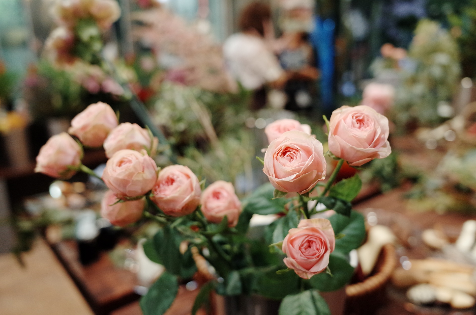 Navigating Inflation: Jennifer & Dan McClain say their flower shop has suffered as people focus on necessities - Vimarsana News