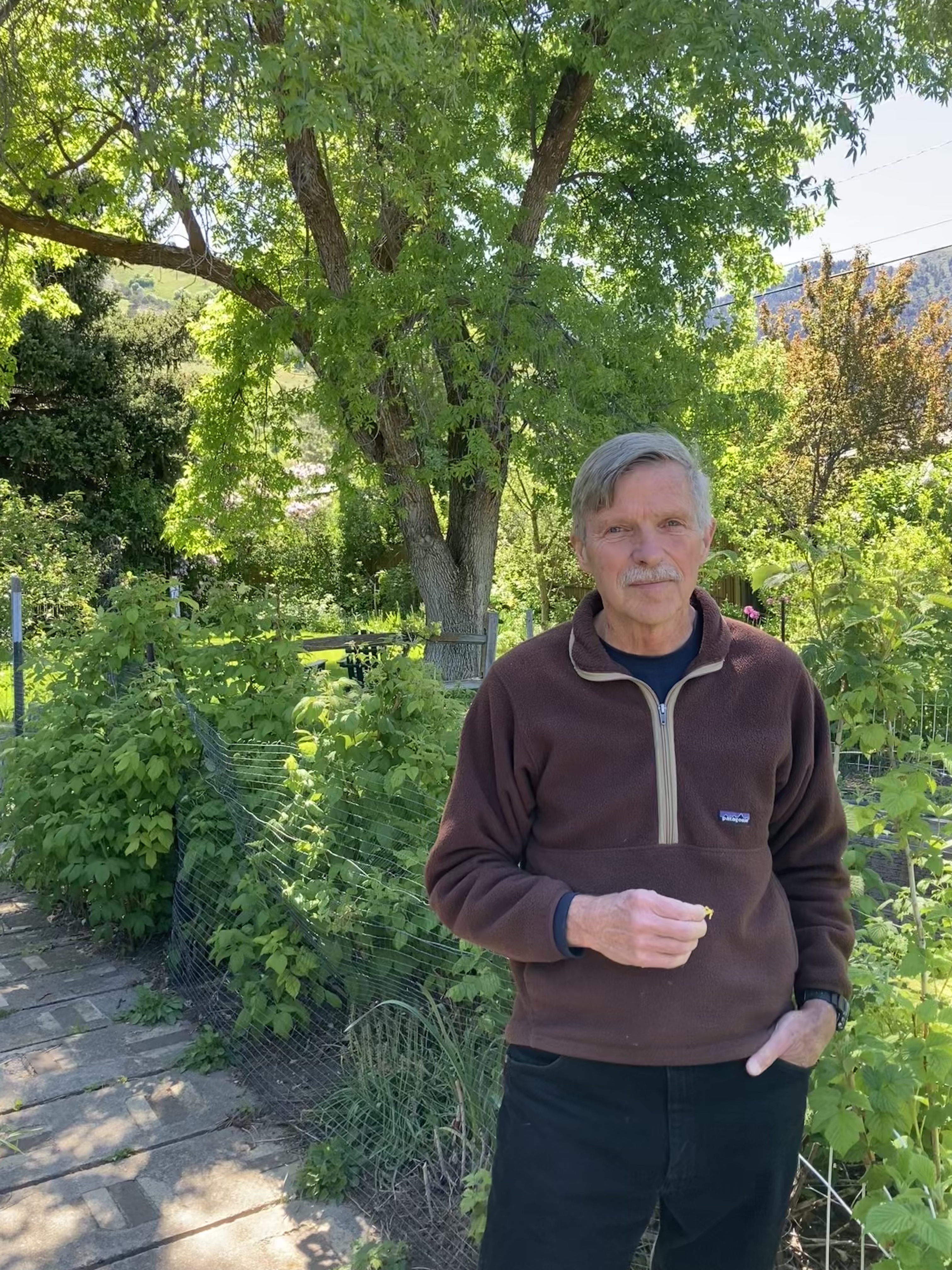 Take a garden stroll with native bee expert Jim Cane - Vimarsana News