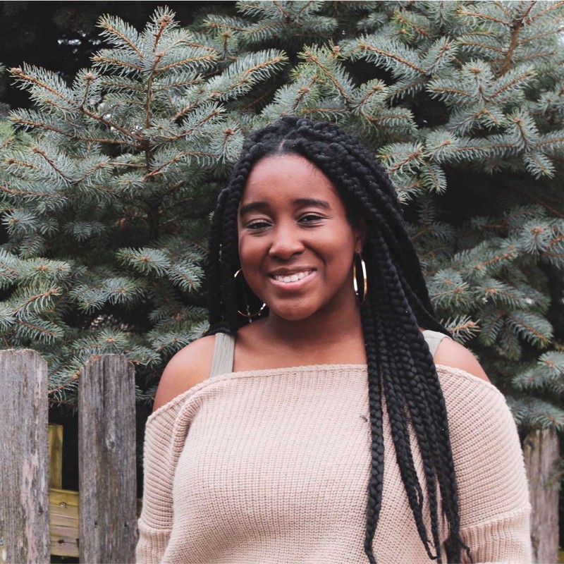 Kayla Jones on Diversity Training ~ SW Art Gallery and Science Center ~ Poet Profile: Sean Hill - Vimarsana News