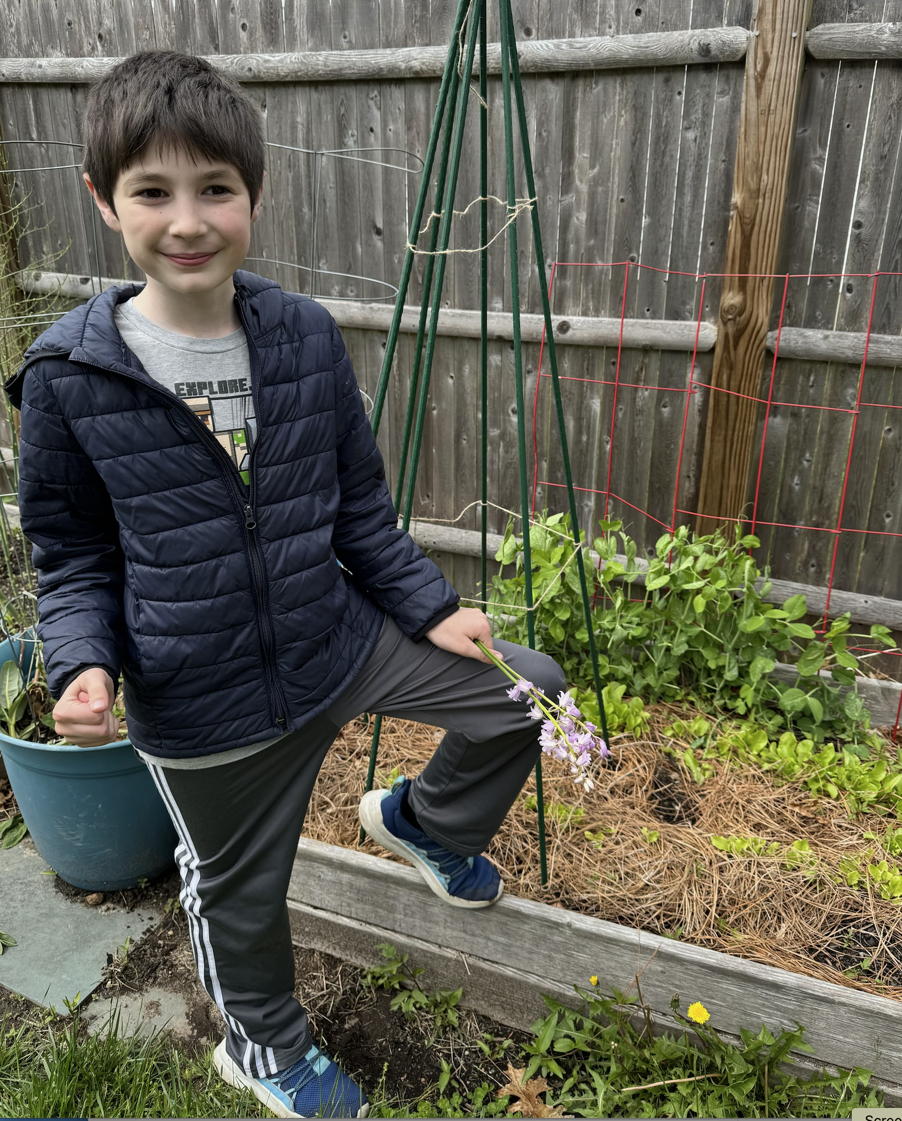Gardens in May - Vimarsana News
