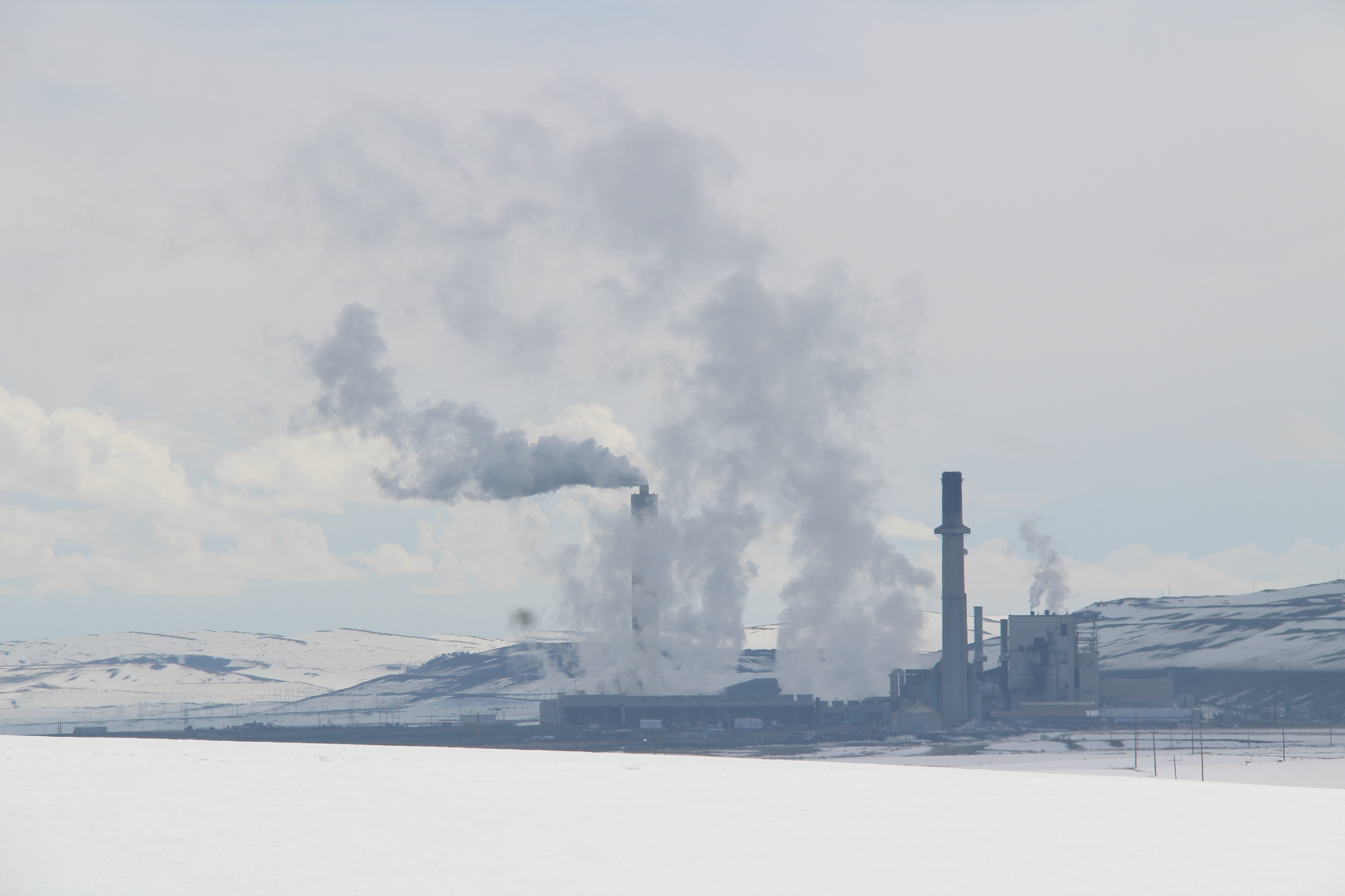 Wyoming joins lawsuit against California over energy policy - Vimarsana News