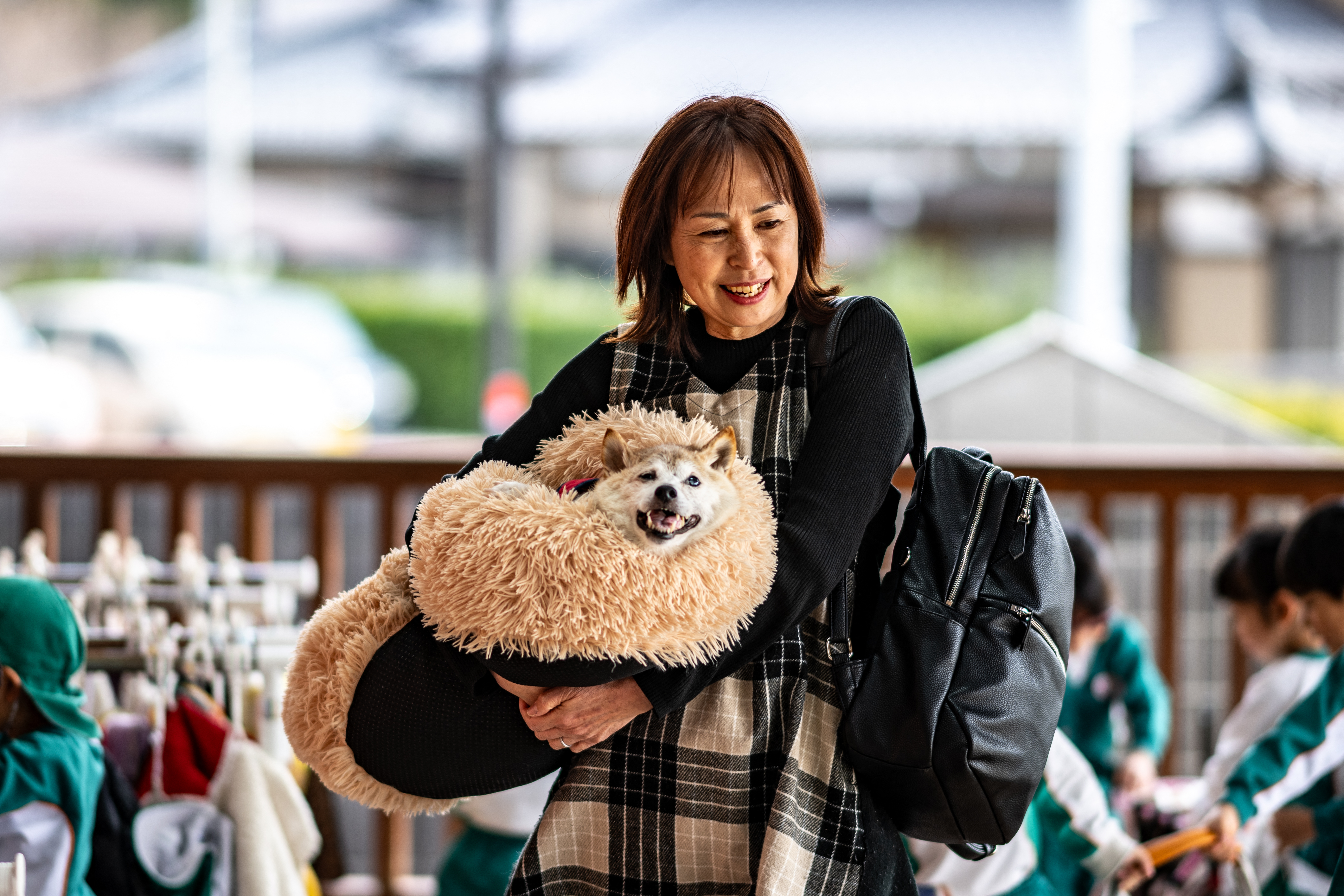 The Shiba Inu that inspired Dogecoin crypto and countless memes has died - Vimarsana News