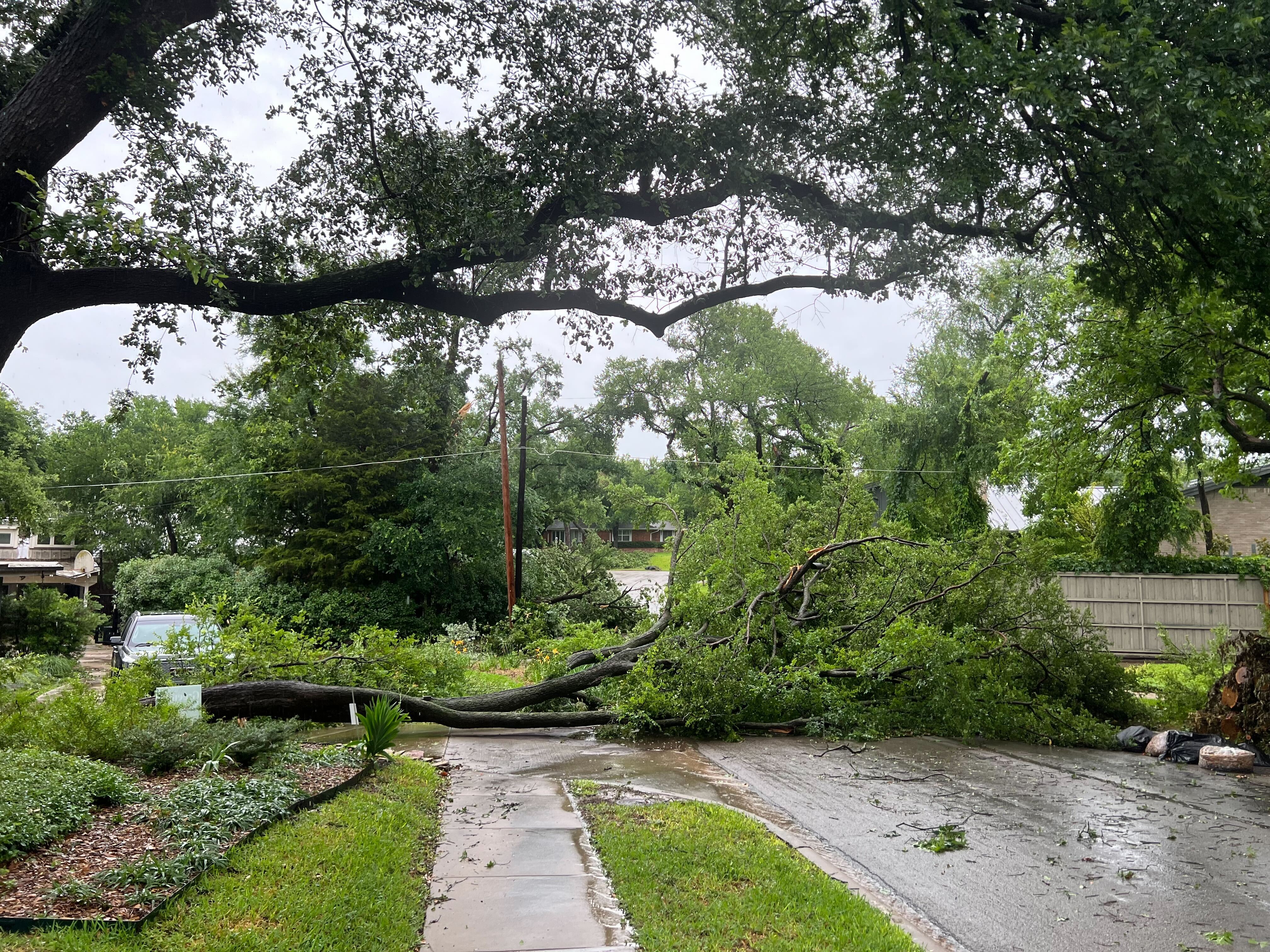 Dallas storm cleanup could take 'multiple months,' emergency management says - Vimarsana News