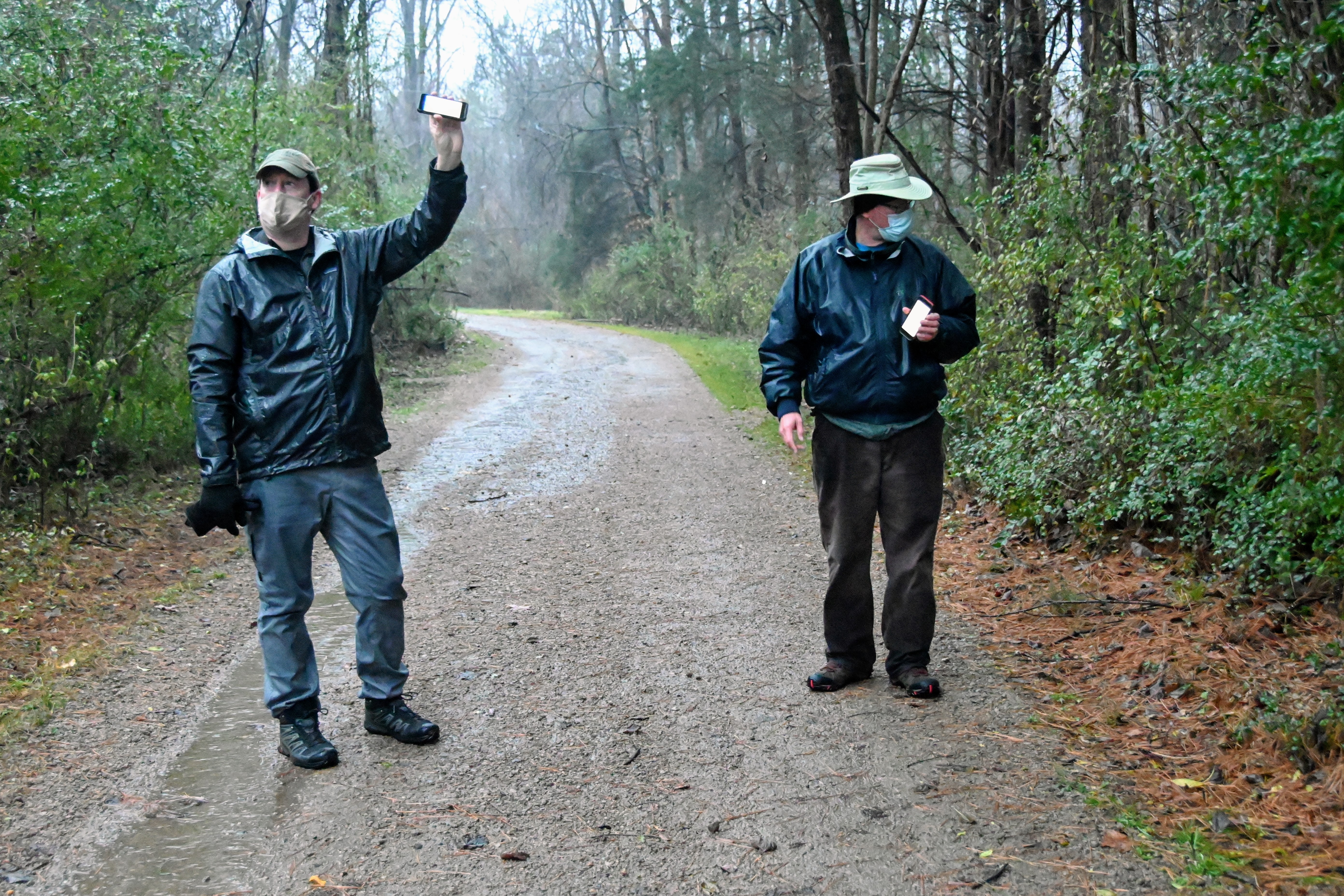 In Search Of A Screech Owl On The Audubon Christmas Bird Count - Vimarsana News