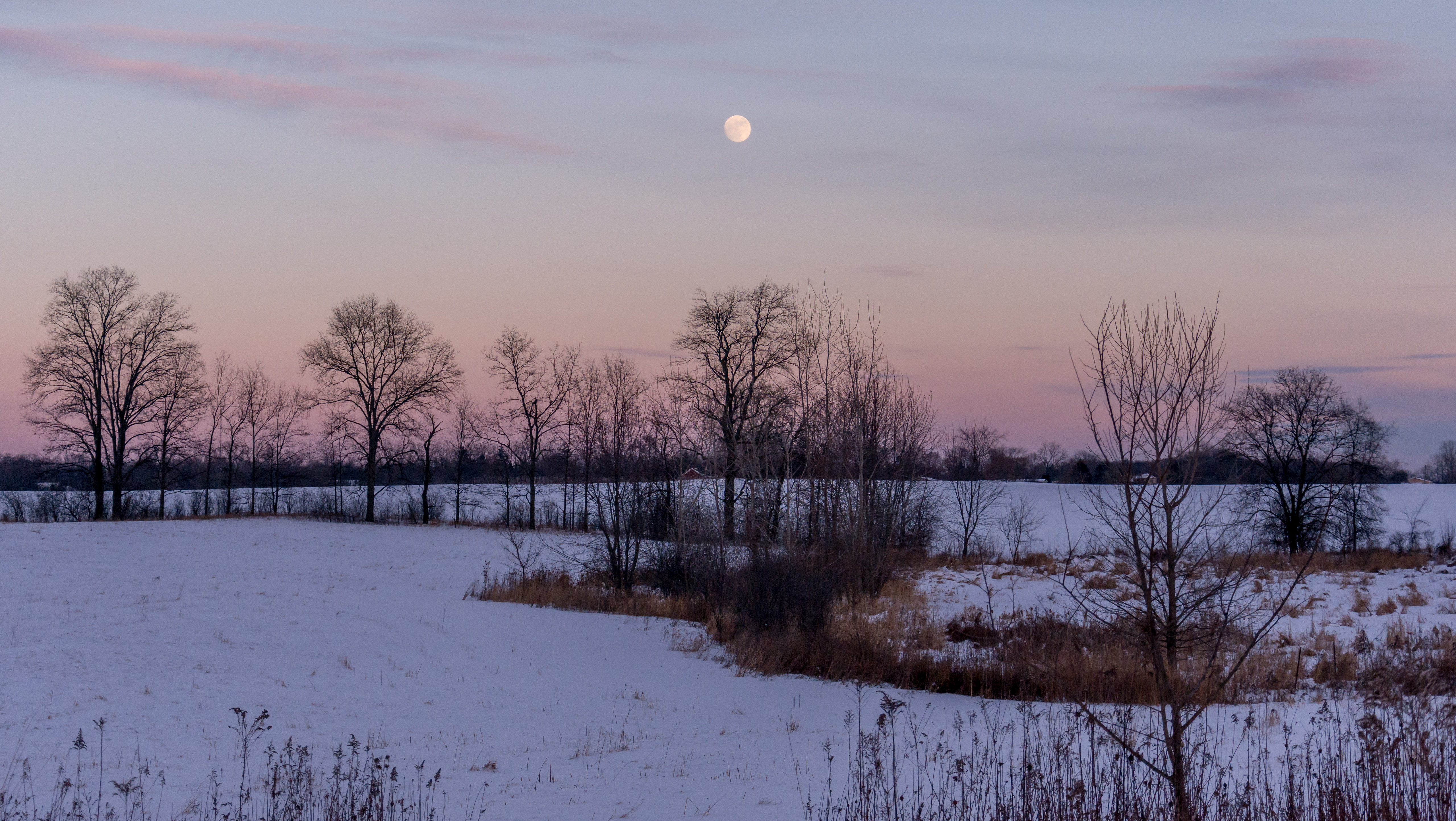 Poor Will's Almanack: December 29, 2020 - January 4, 2021 - Vimarsana News