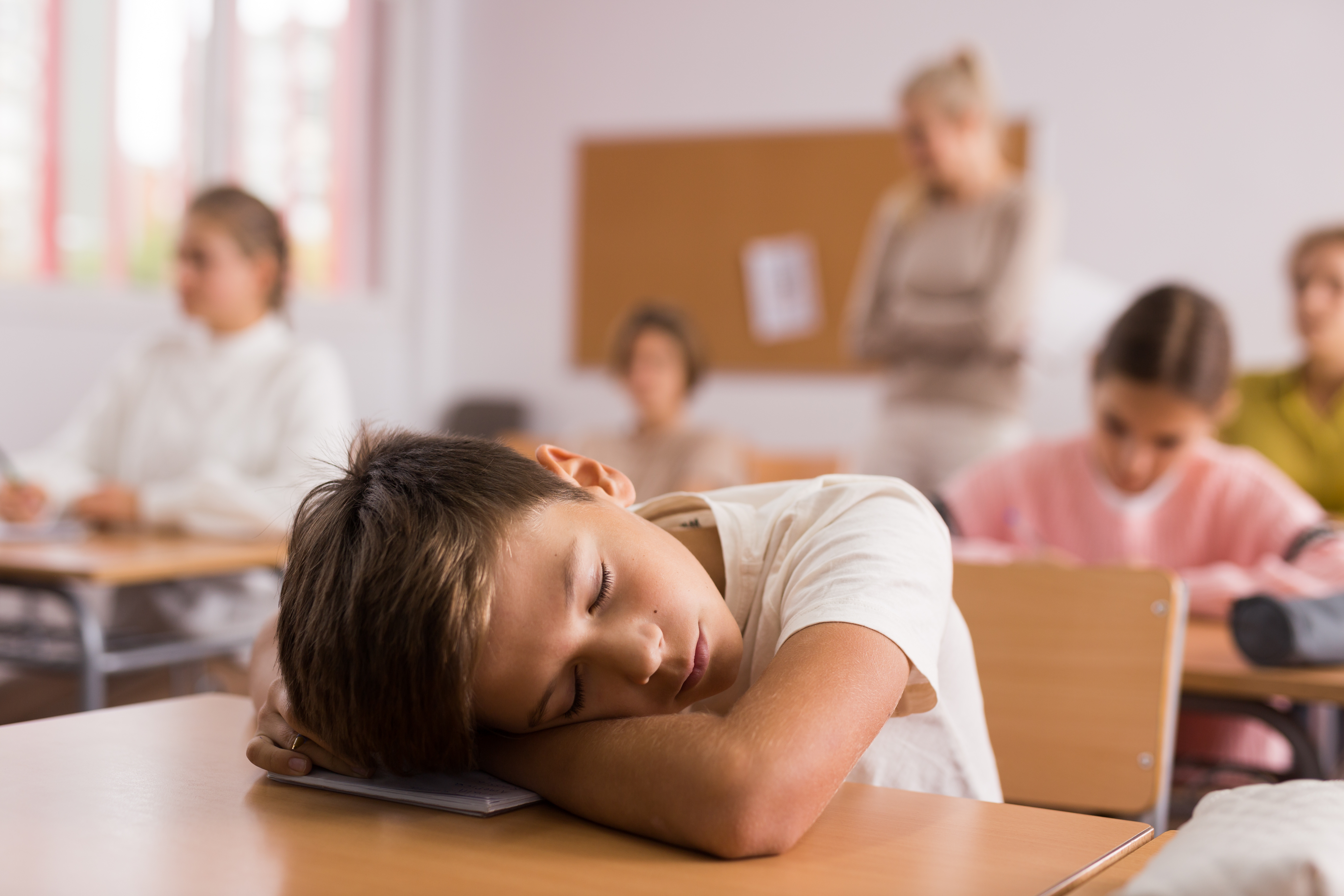 Questions abound following changes to Florida's school start times - Vimarsana News