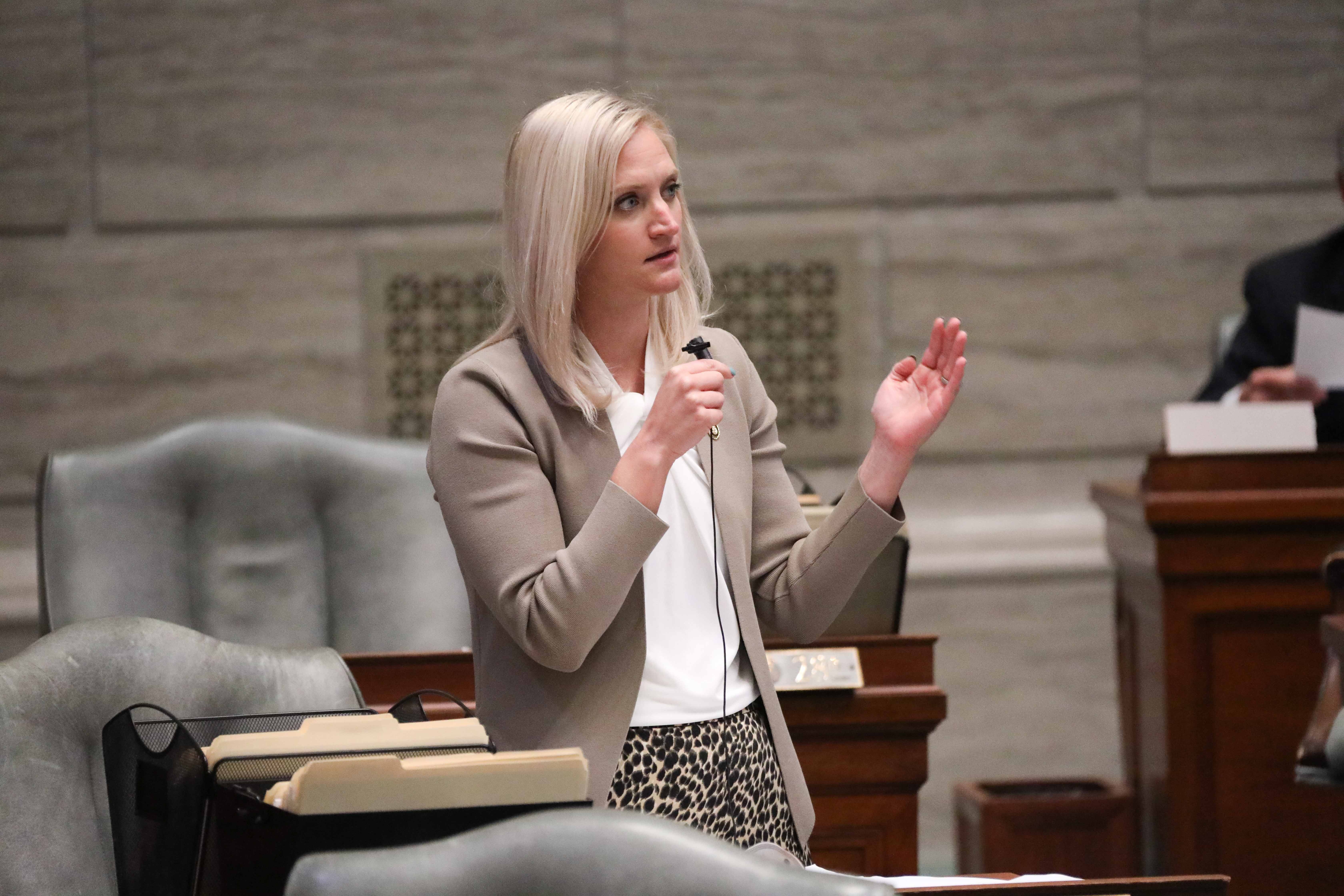 Sen. Lauren Arthur Previews The Last Week Of The Missouri Legislative Session - Vimarsana News