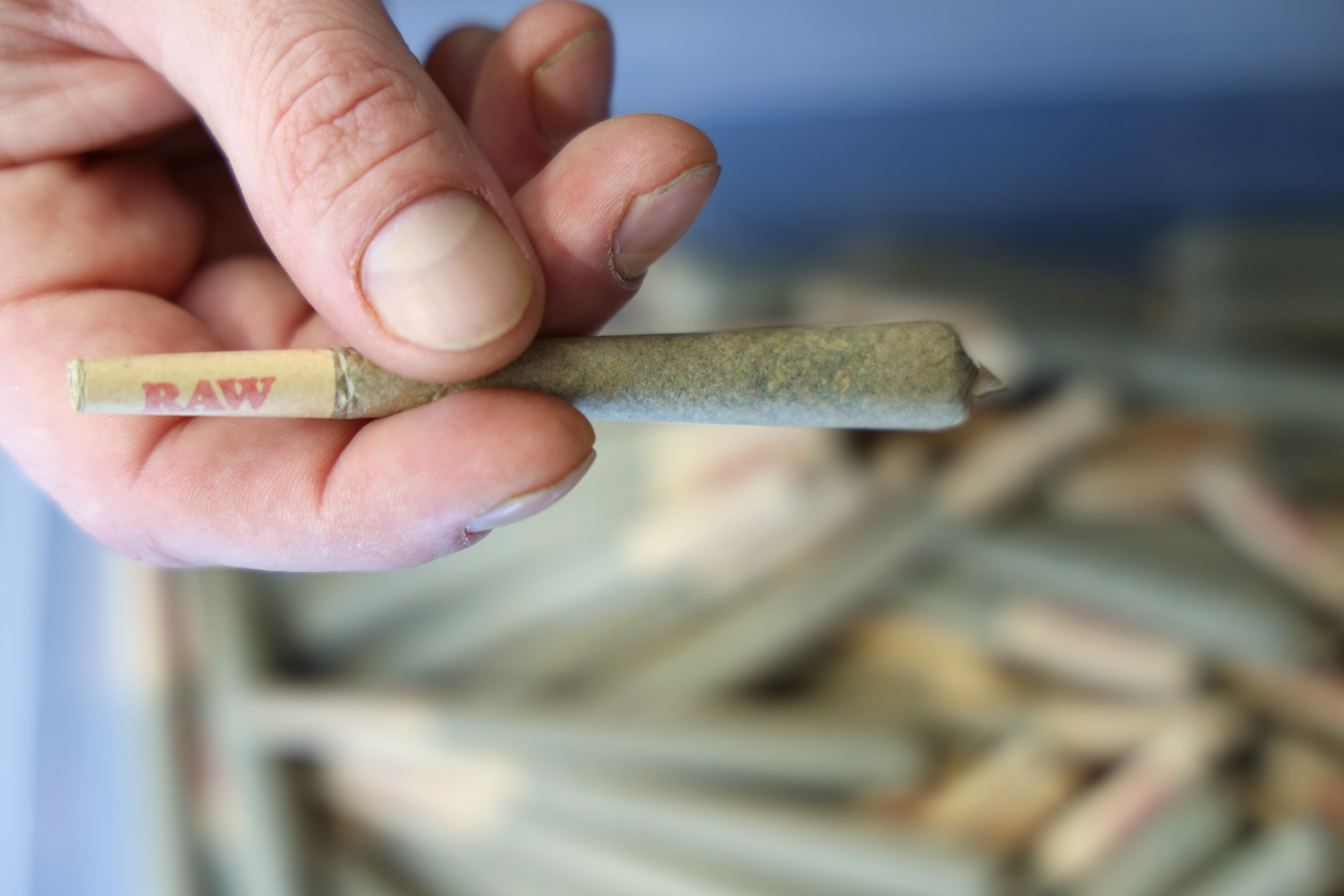 You can grow weed (legally) at home now - Vimarsana News