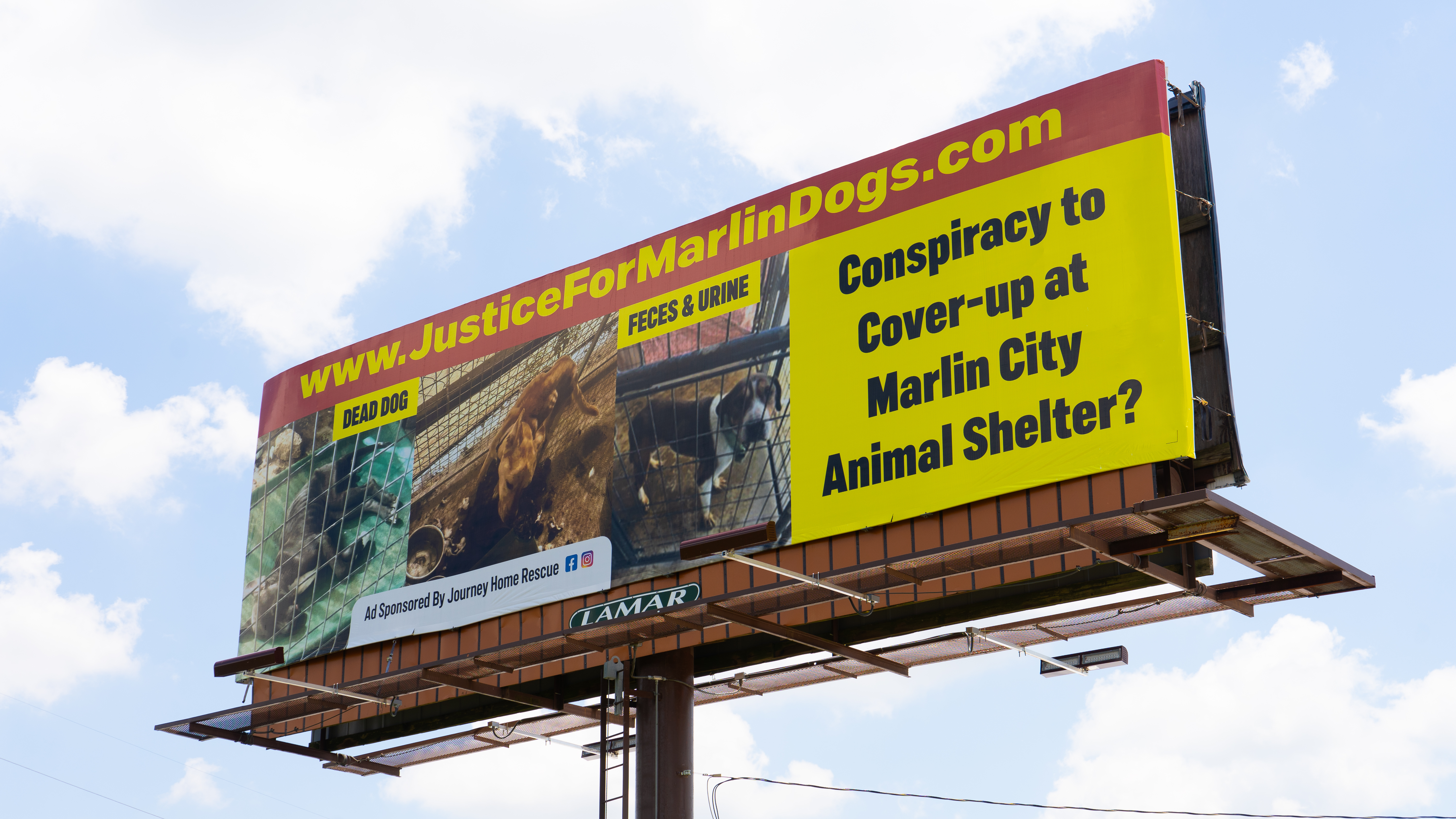 Texas Rangers investigate Marlin animal shelter amid rising dog attacks and recent horse mauling - Vimarsana News