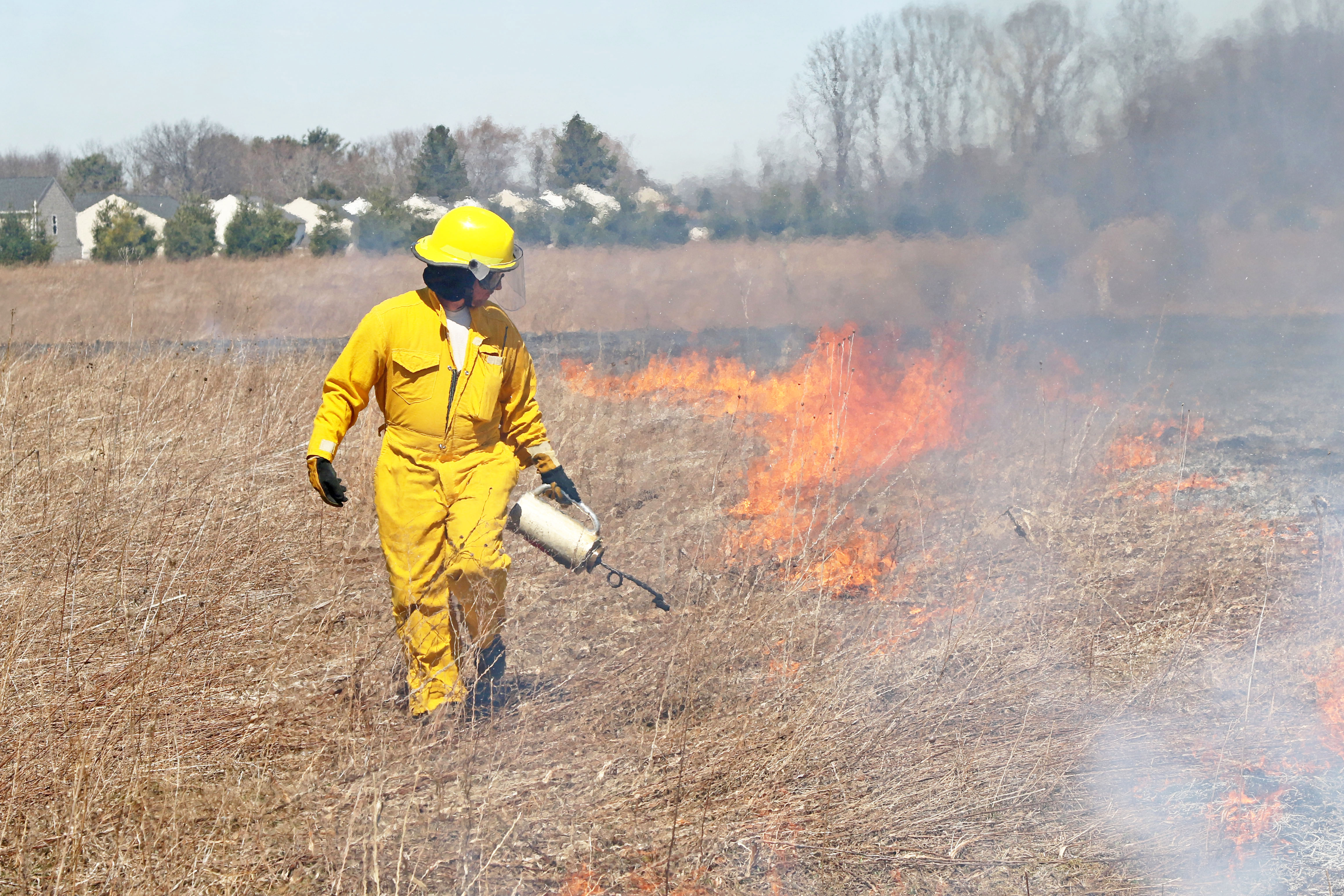 Burn Benefits: How Summit Metro Parks Promote Biodiversity - Vimarsana News