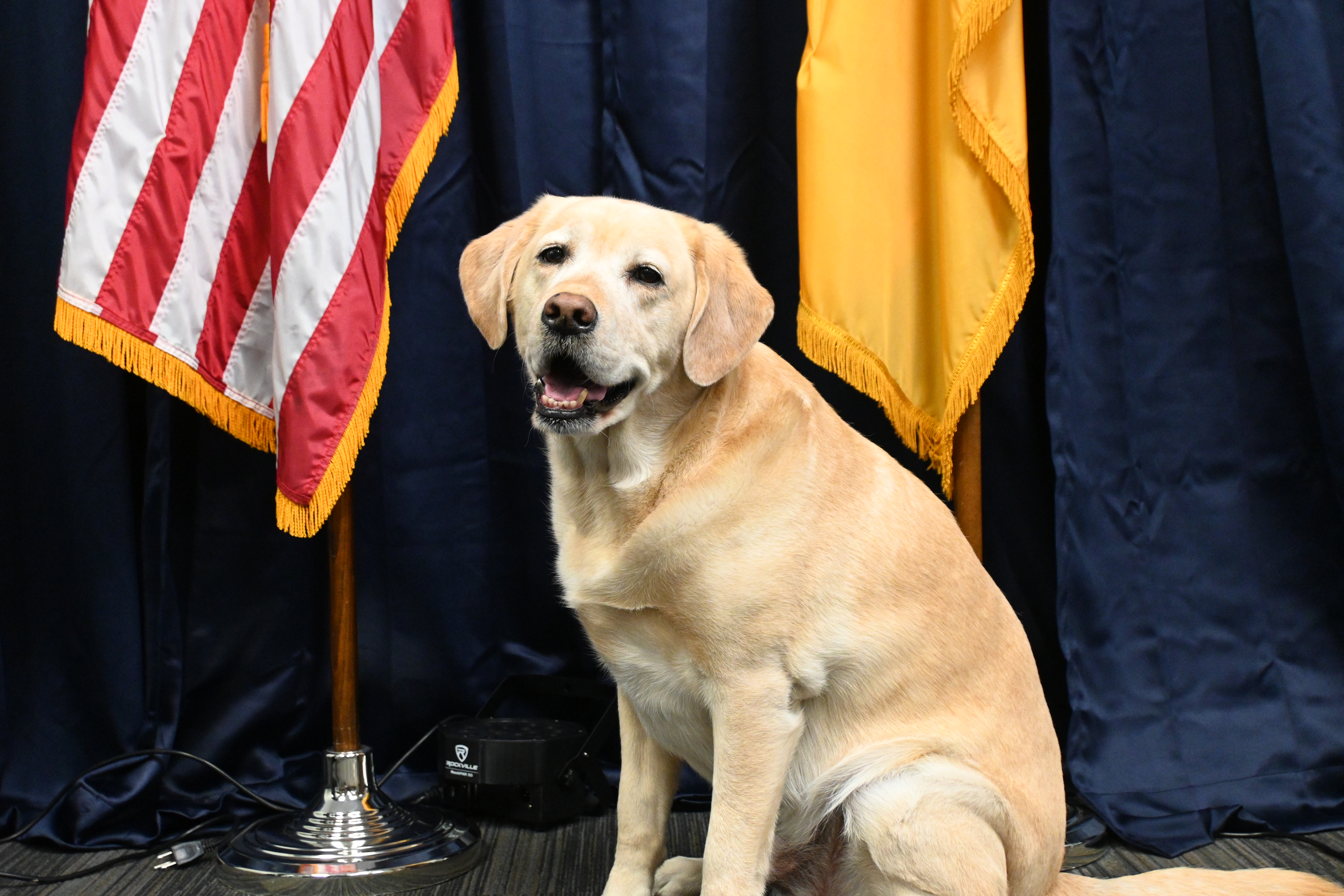 Four-legged Special Agent Fights Cyber Crime against Kids - Vimarsana News
