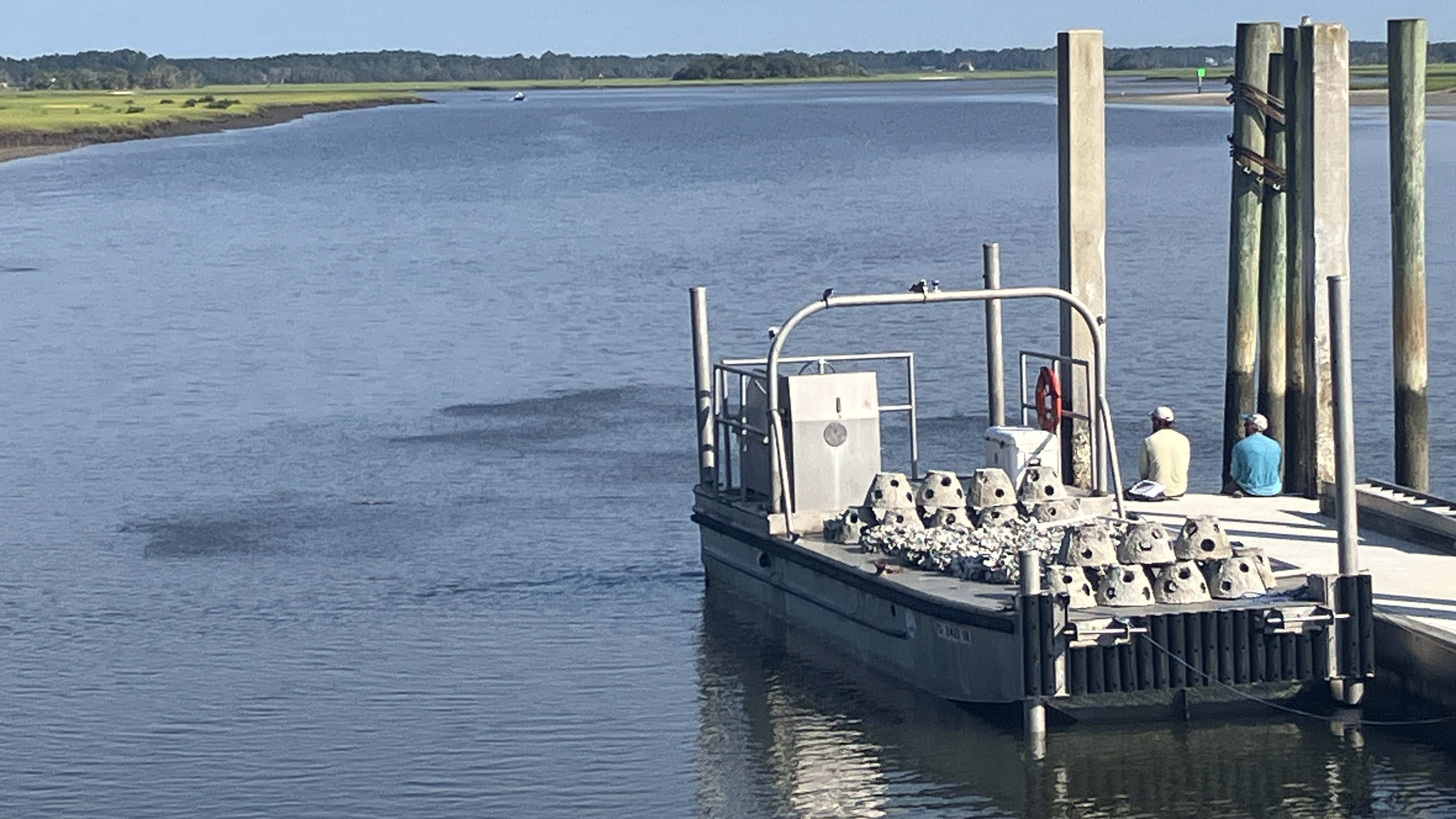 A novel tool to fight erosion: oyster shells - Vimarsana News