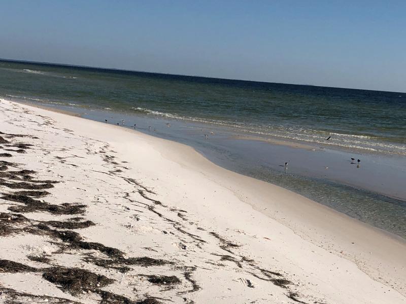 Recovery For Florida Tourism Businesses Is Still A Year Away, Study Finds - Vimarsana News