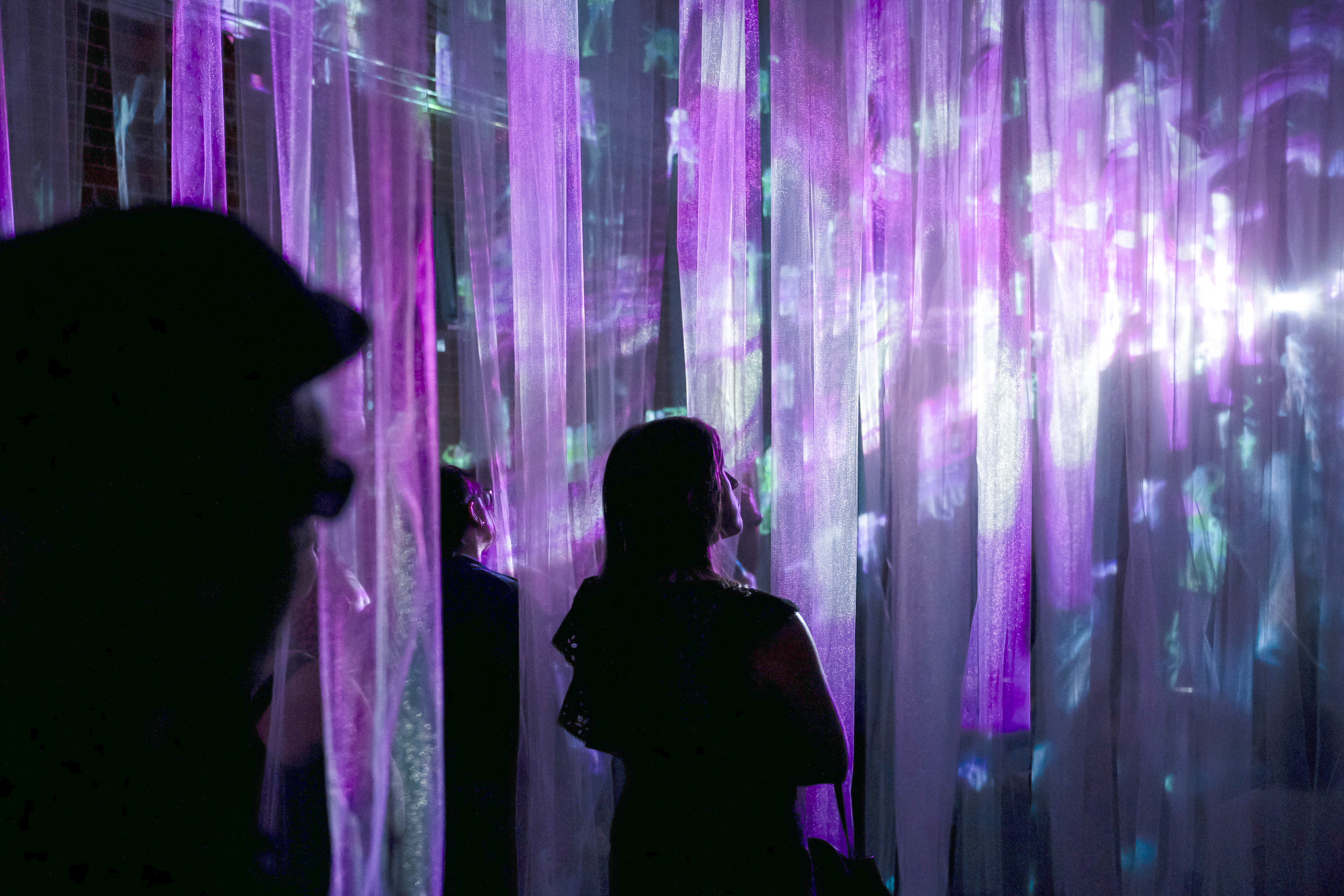 A Hartford art exhibit gives an 'Electric Jungle' vibe through visual storytelling - Vimarsana News