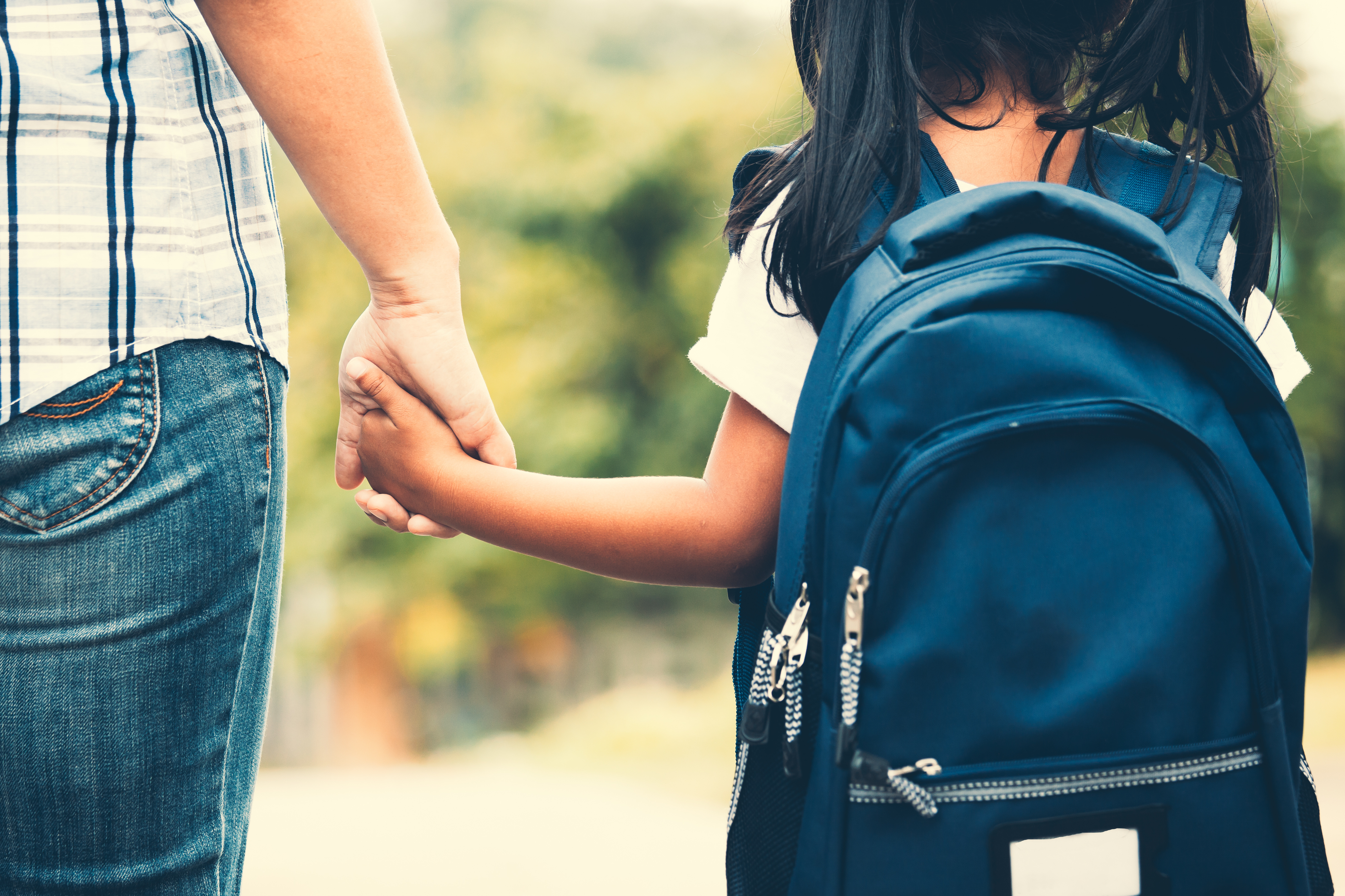 School Safety Tops Agenda For State School Board - Vimarsana News