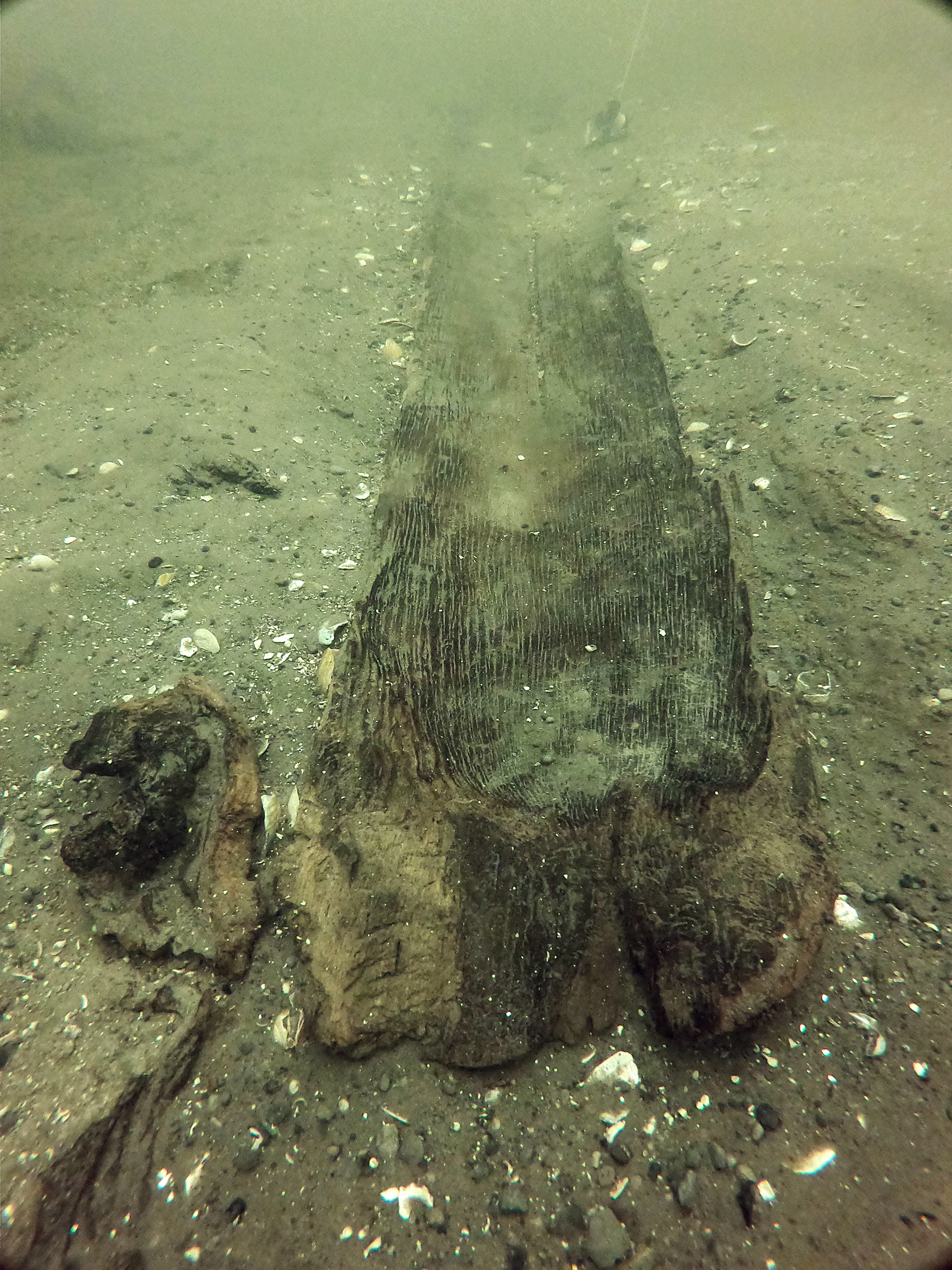 Ancient canoes in Lake Mendota date back as far as 4,500 years - Vimarsana News