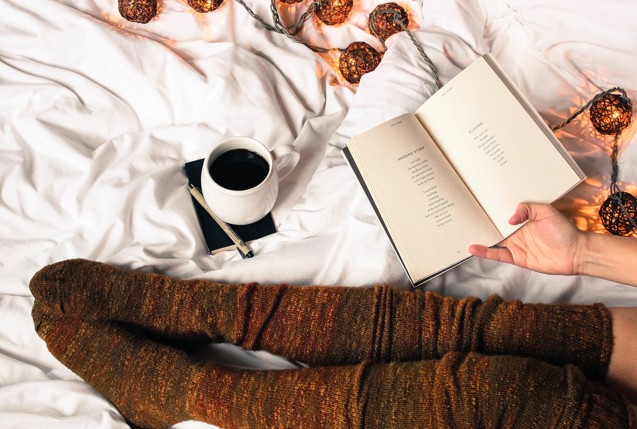 'Poetry For All' Wants To Help You Find Poetry That Speaks To You - Vimarsana News